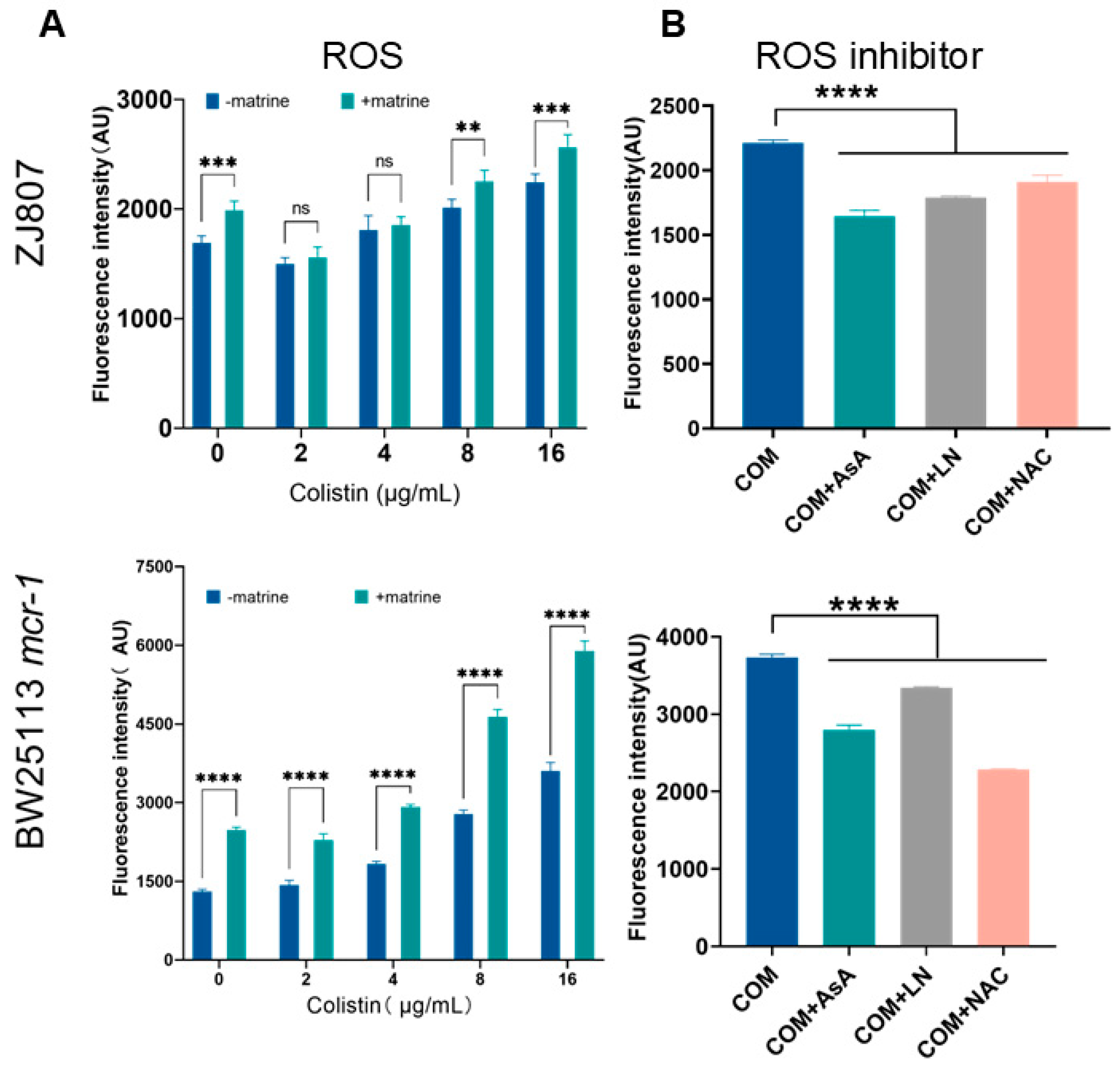 Molecules 30 02122 g004
