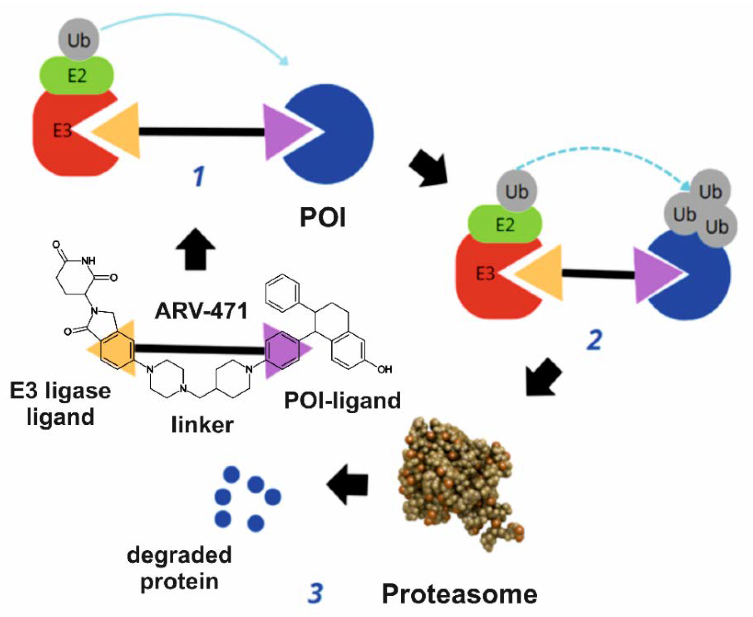Molecules 30 02123 g003