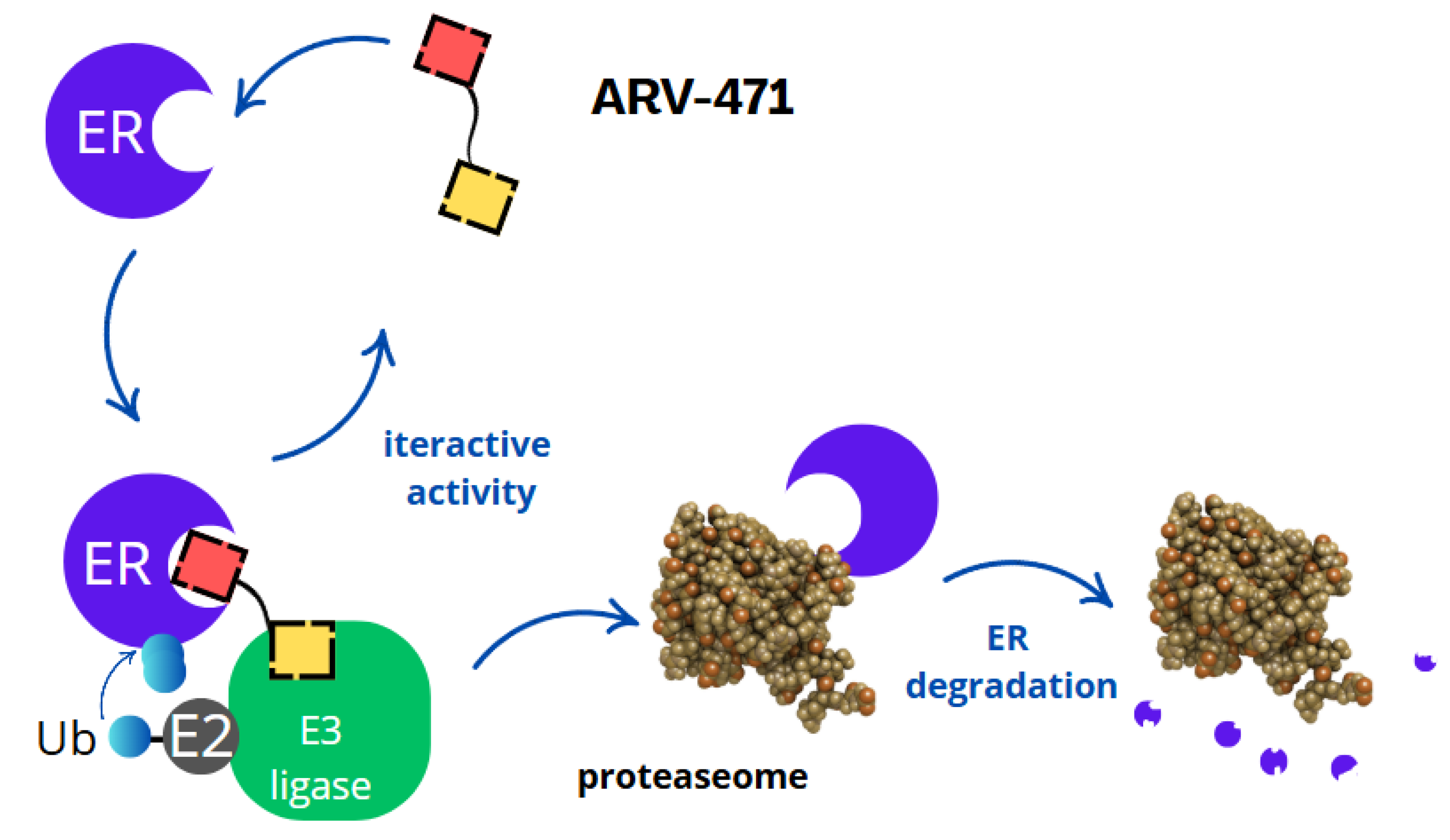 Molecules 30 02123 g004