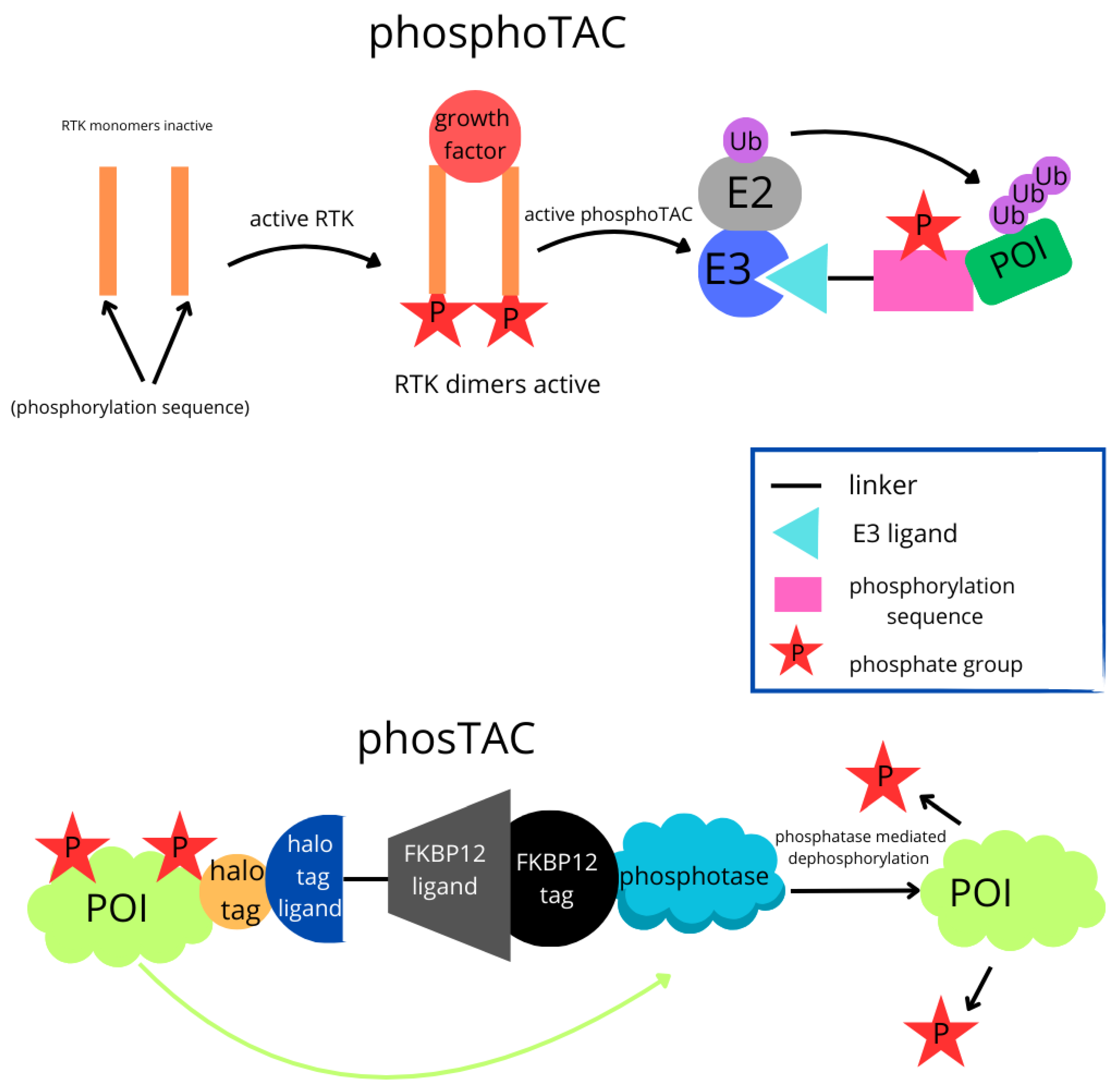 Molecules 30 02123 g006