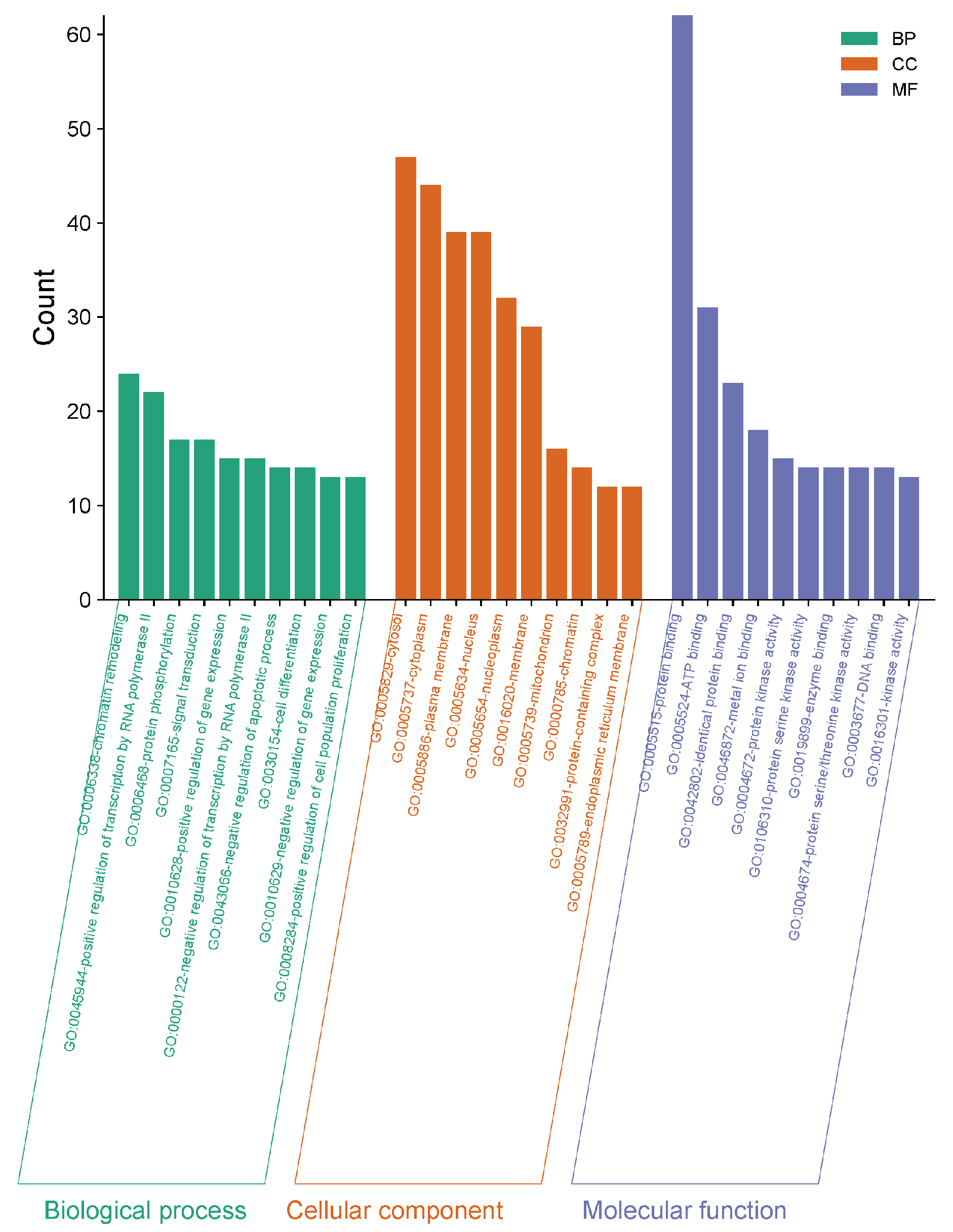 Molecules 30 02127 g005