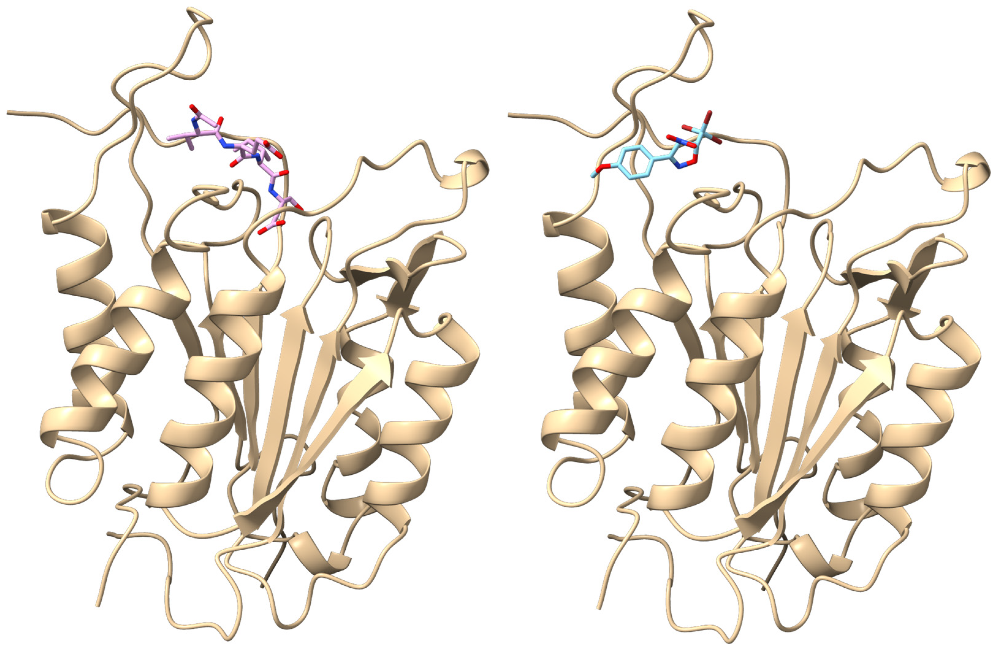 Molecules 30 02149 g009