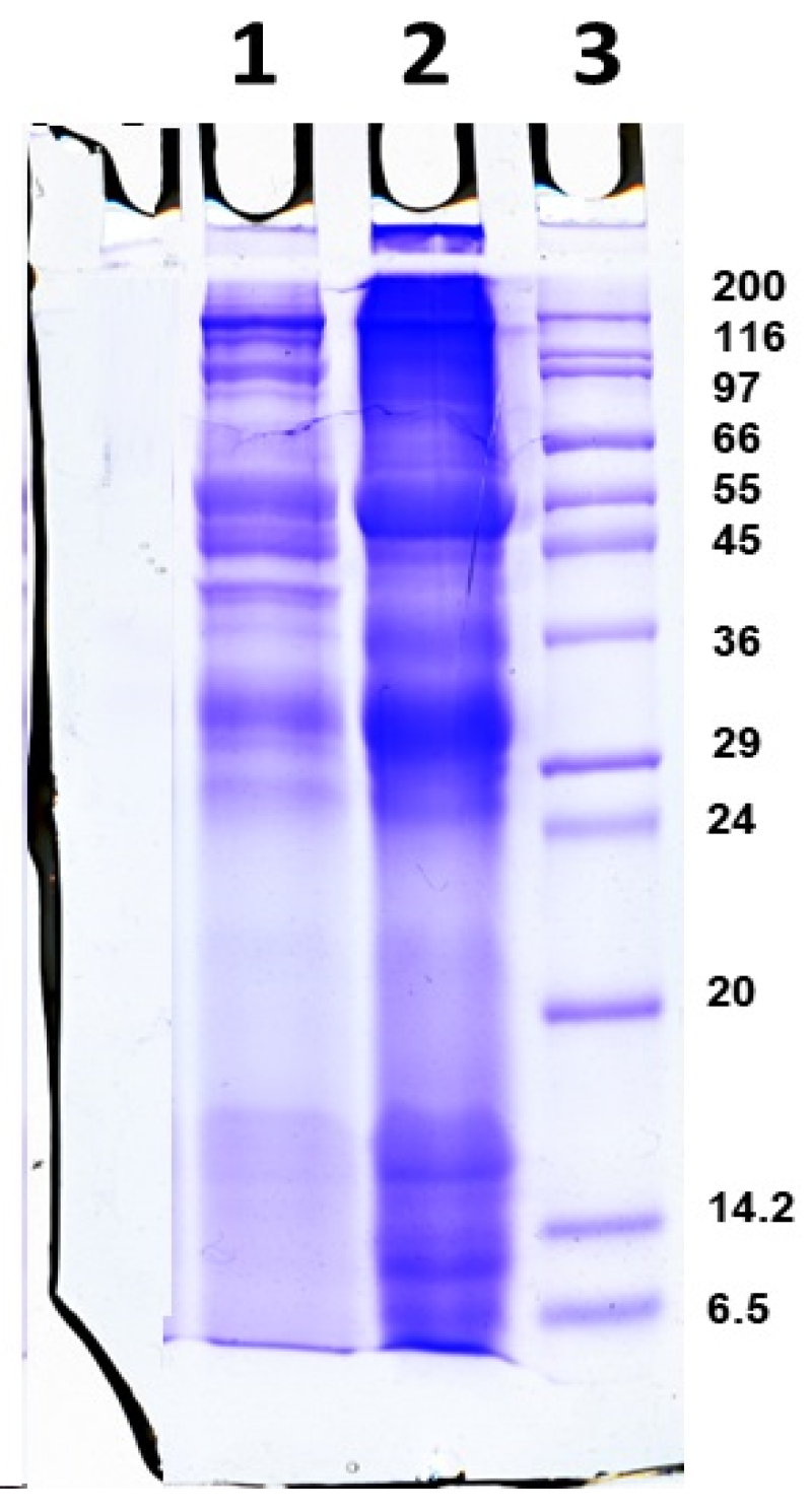 Molecules 30 02150 g001