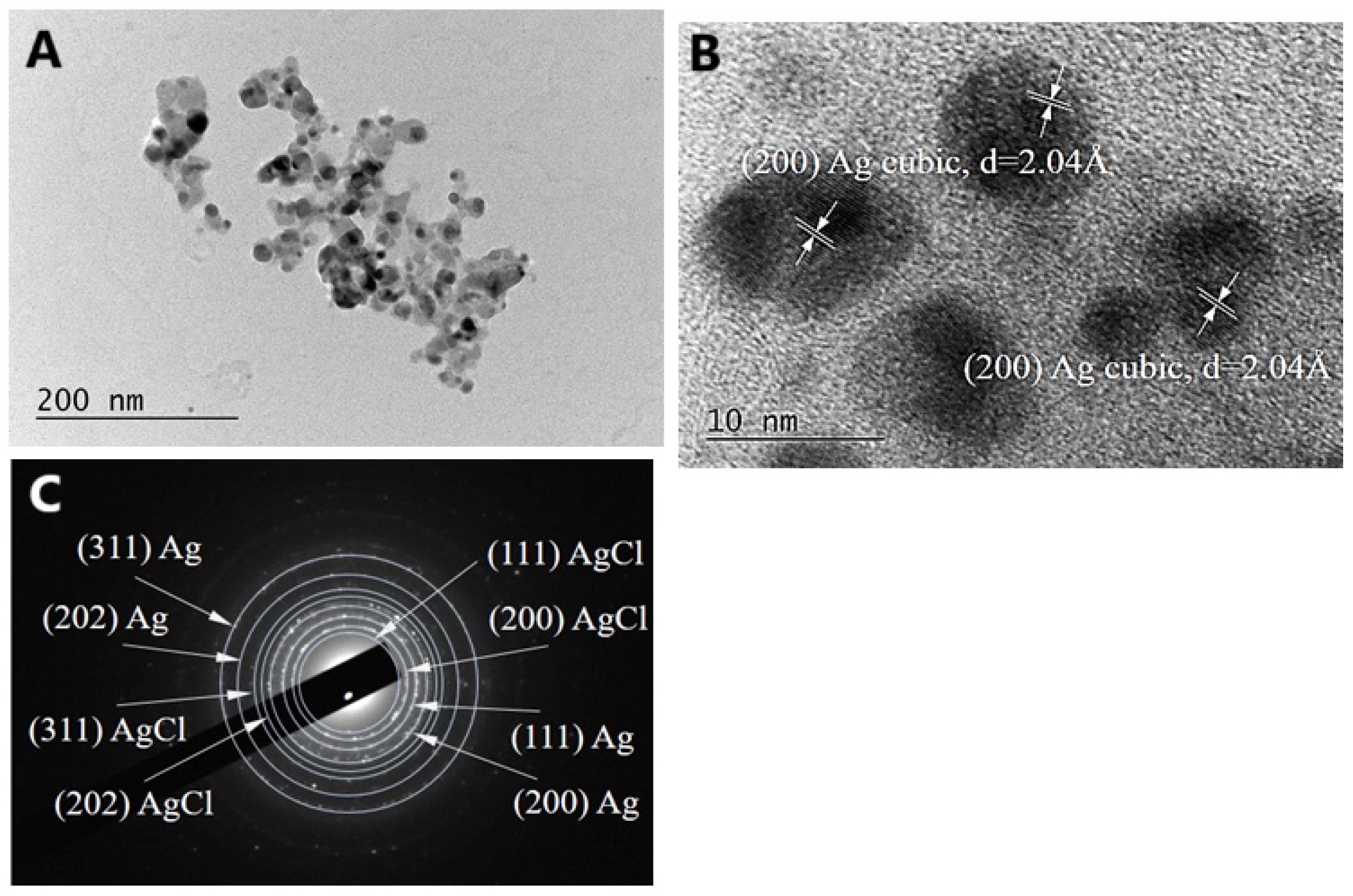 Molecules 30 02150 g007