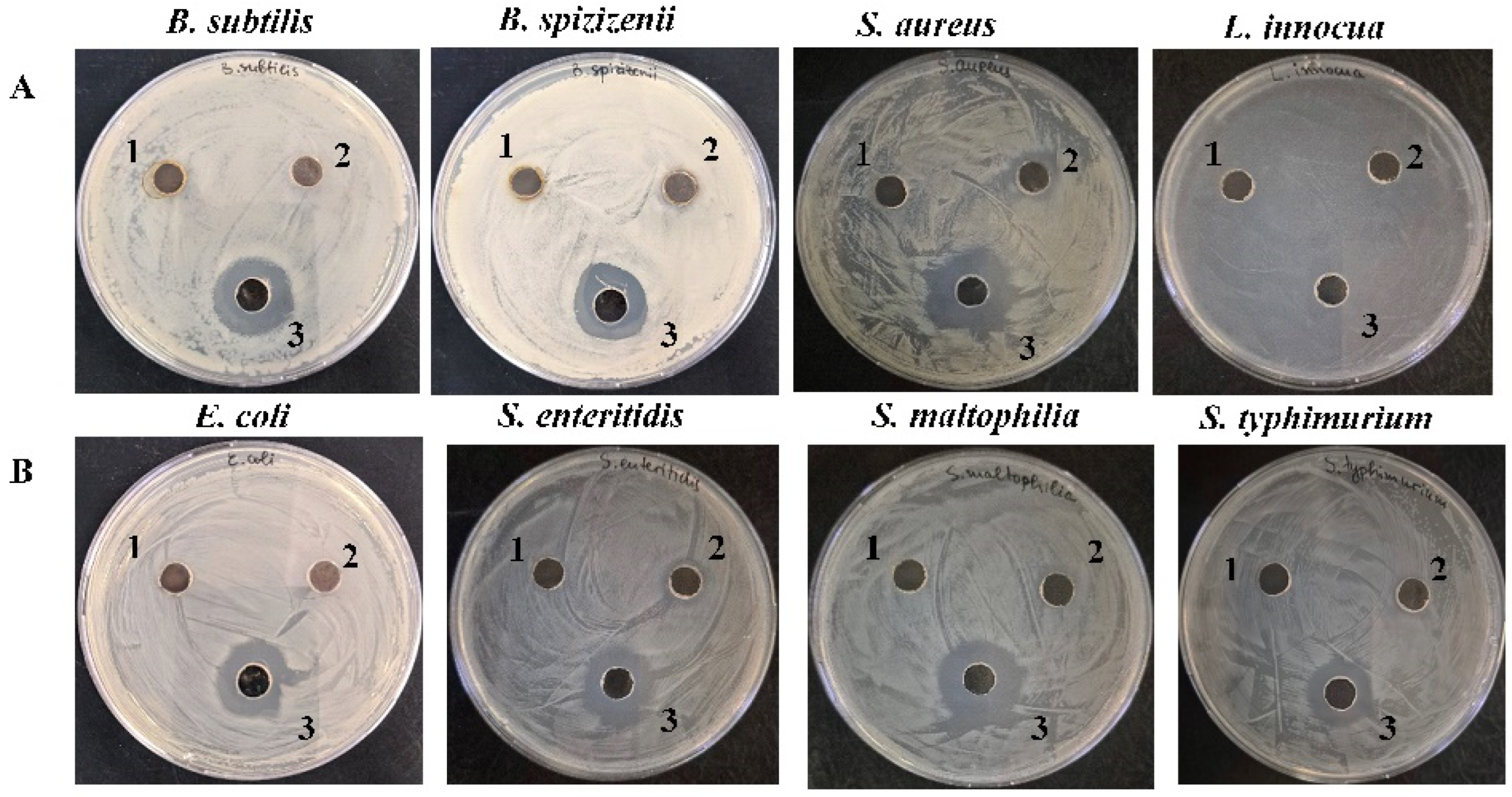 Molecules 30 02150 g010
