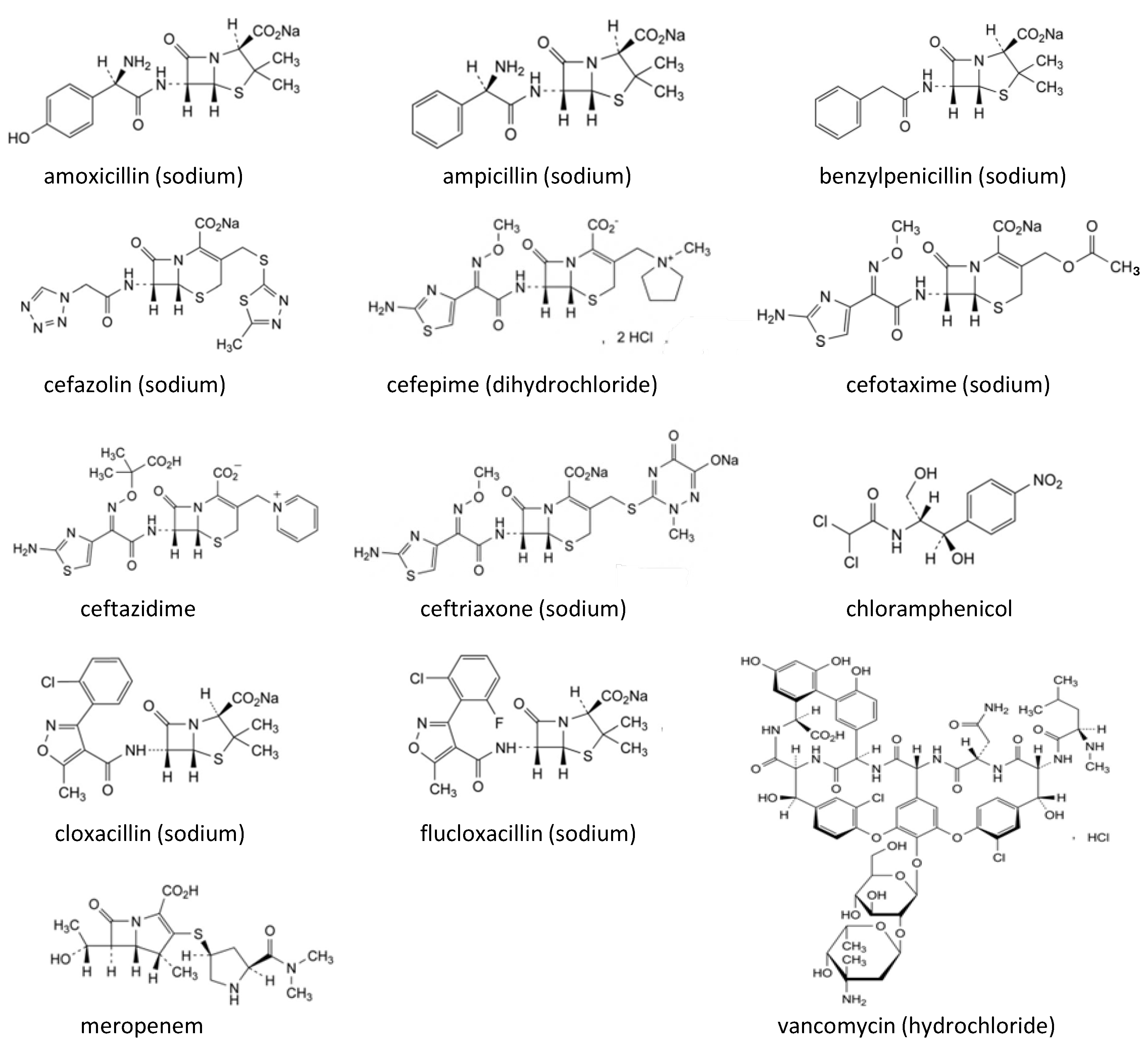 Molecules 30 02151 g001