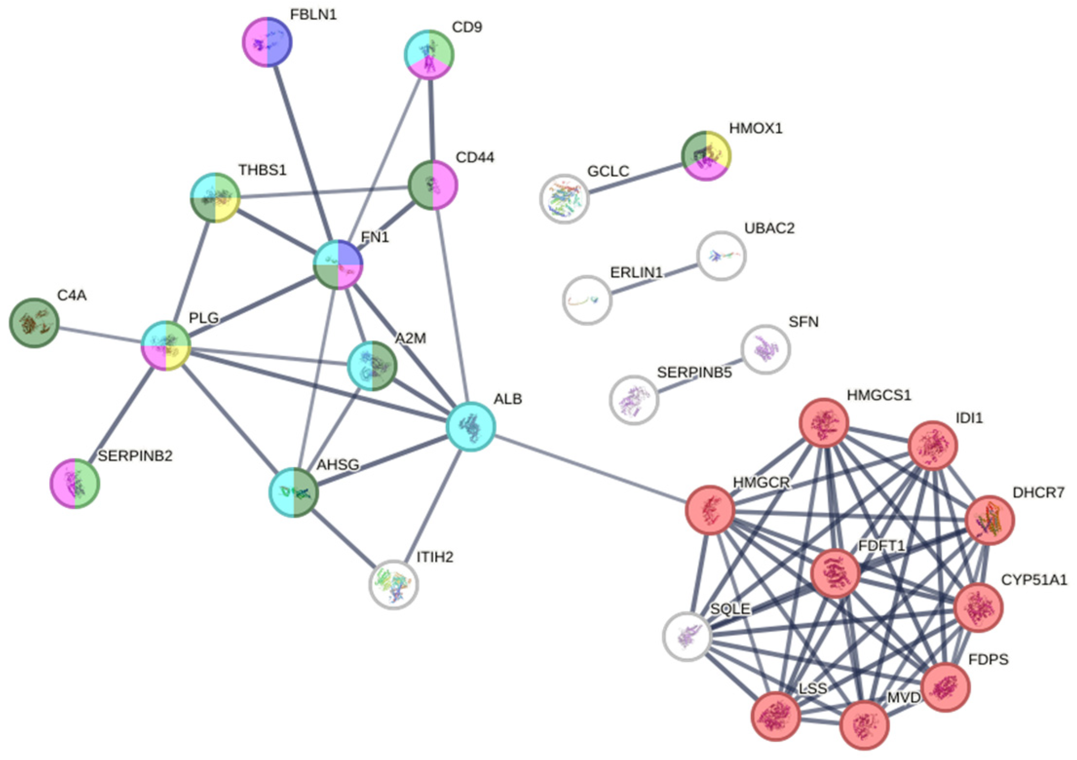 Molecules 30 02152 g004