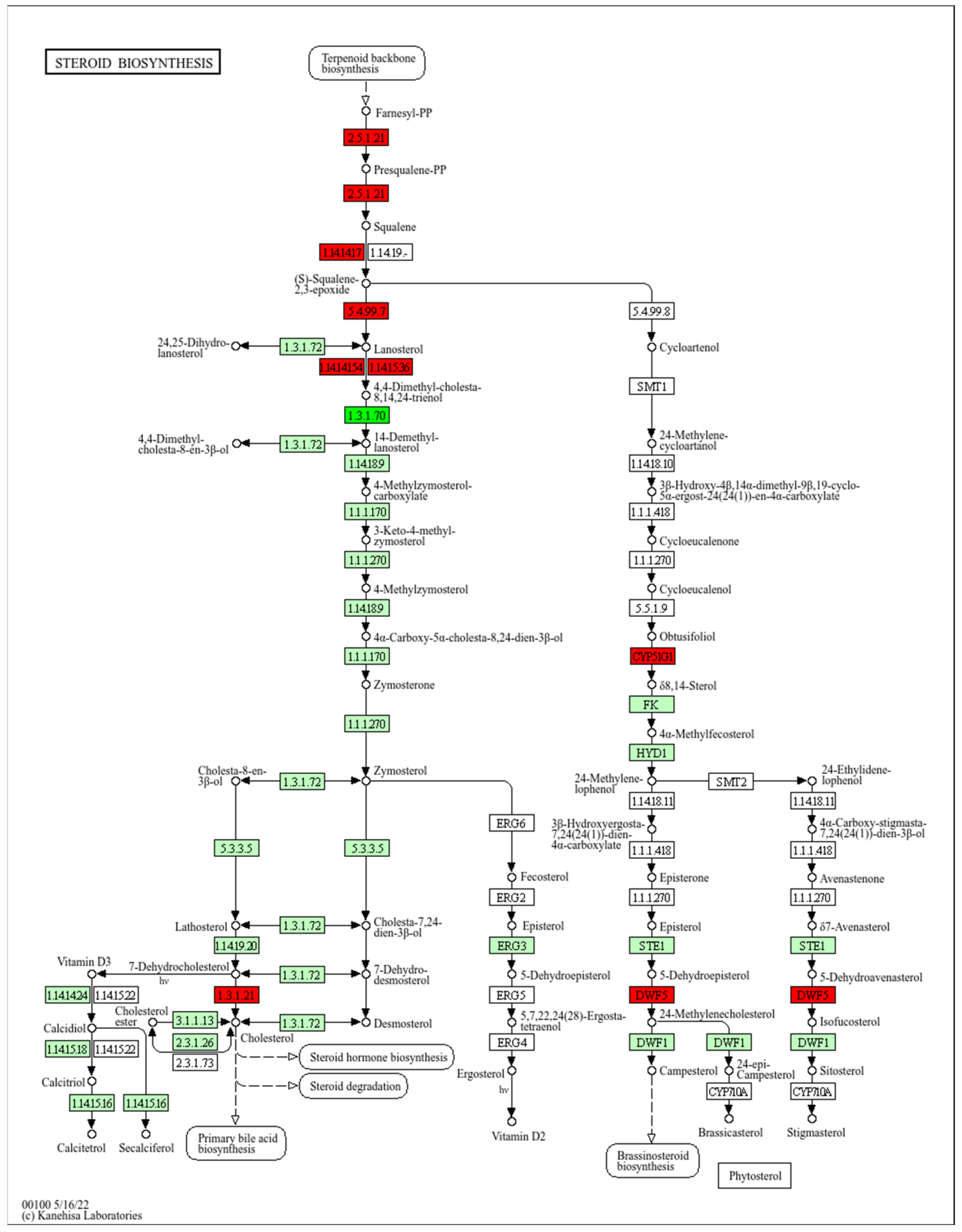 Molecules 30 02152 g005