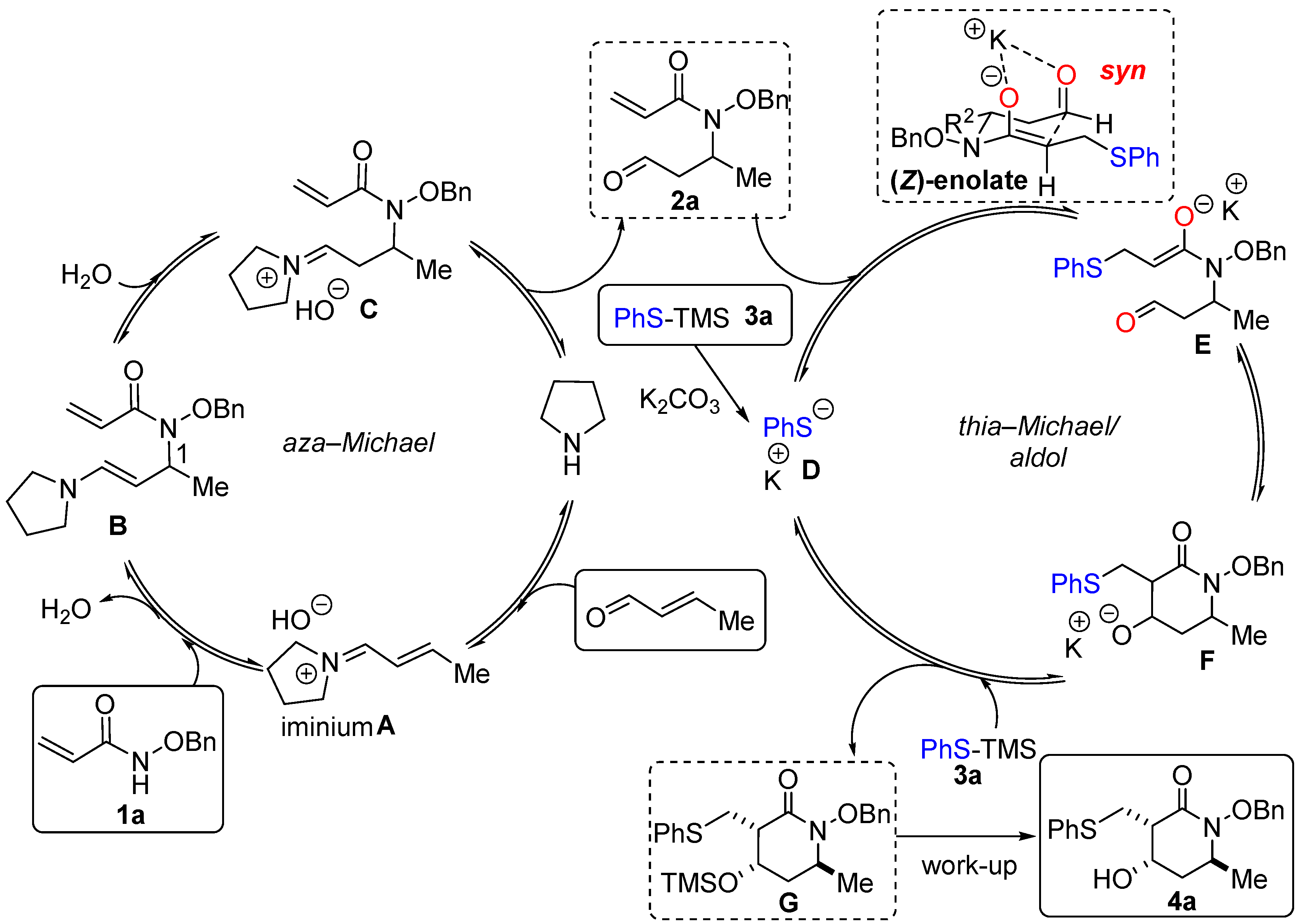 Molecules 30 02154 sch005