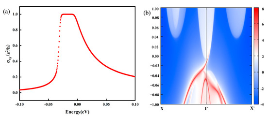 First-Principles Study on the High Spin-Polarized