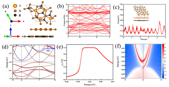 First-Principles Study on the High Spin-Polarized