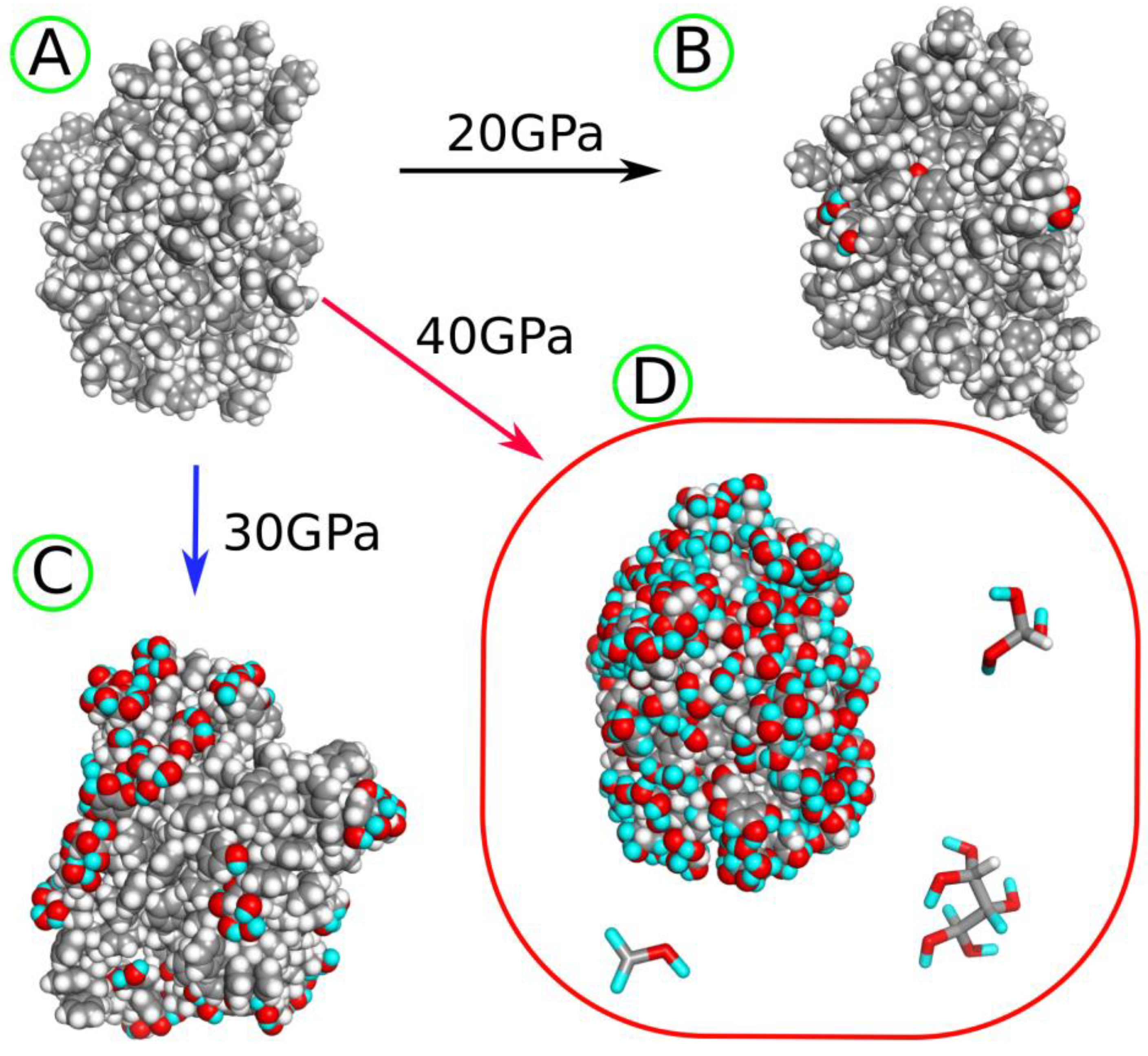 Molecules 30 02164 g005