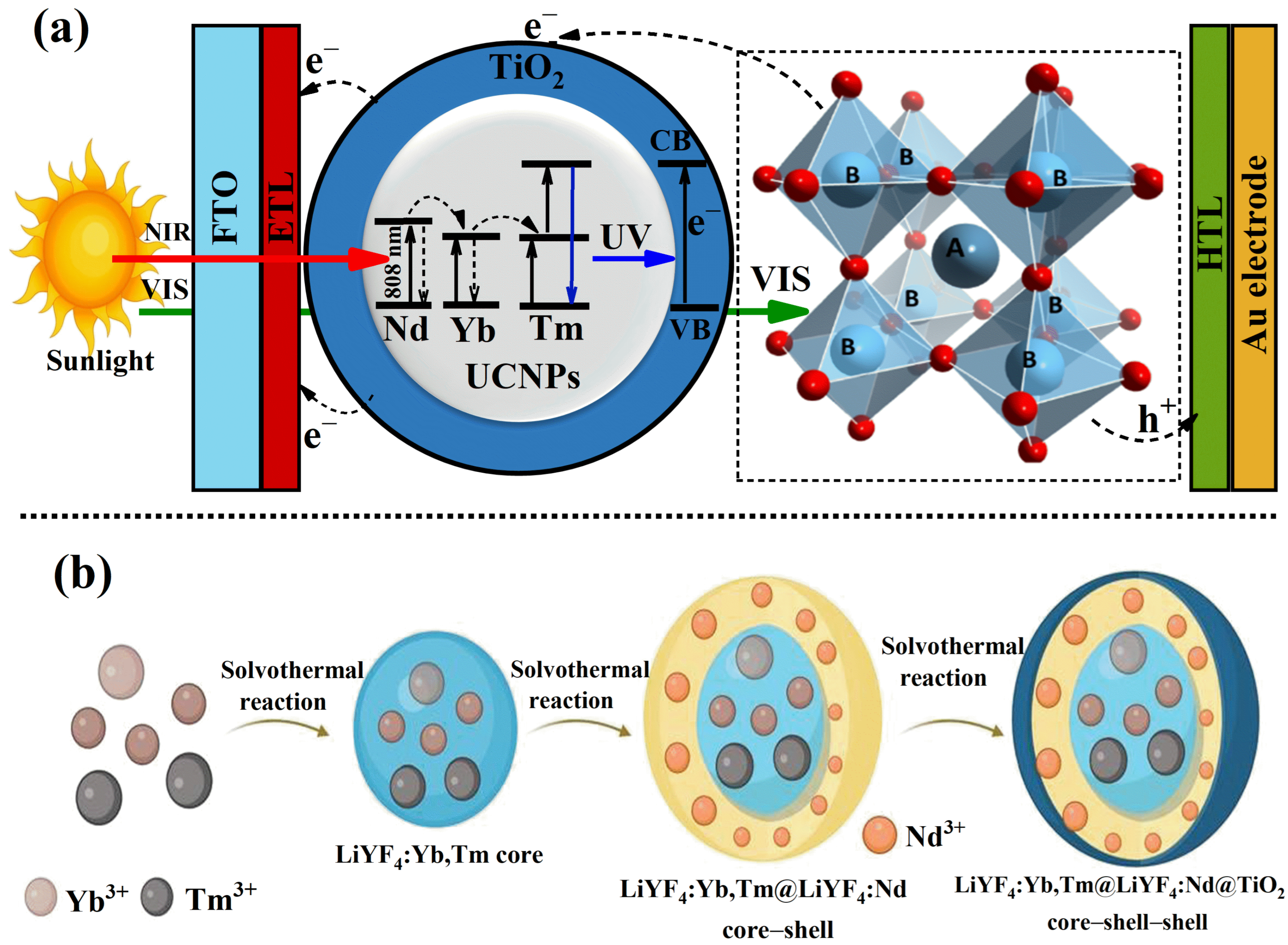 Molecules 30 02166 g001