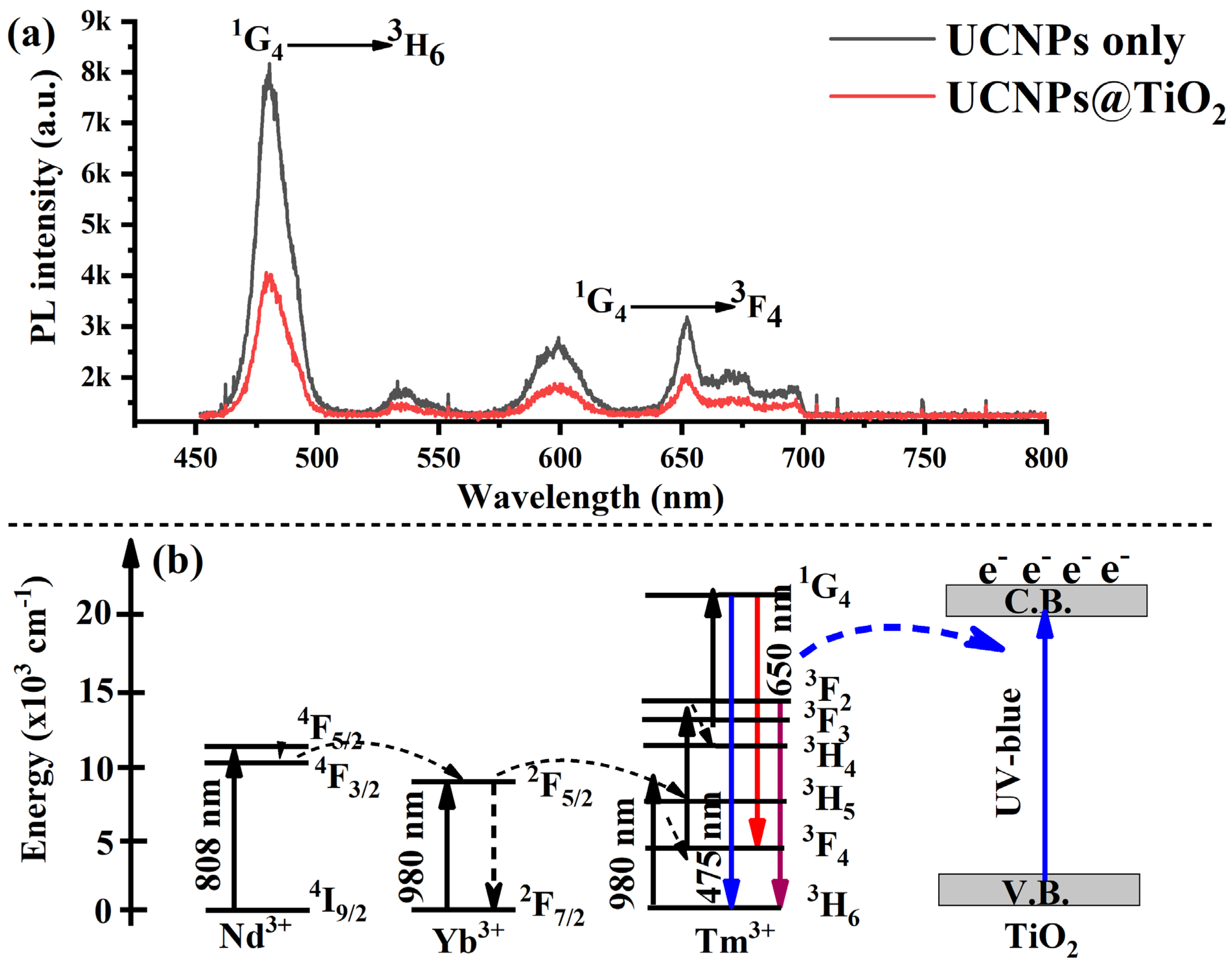 Molecules 30 02166 g003