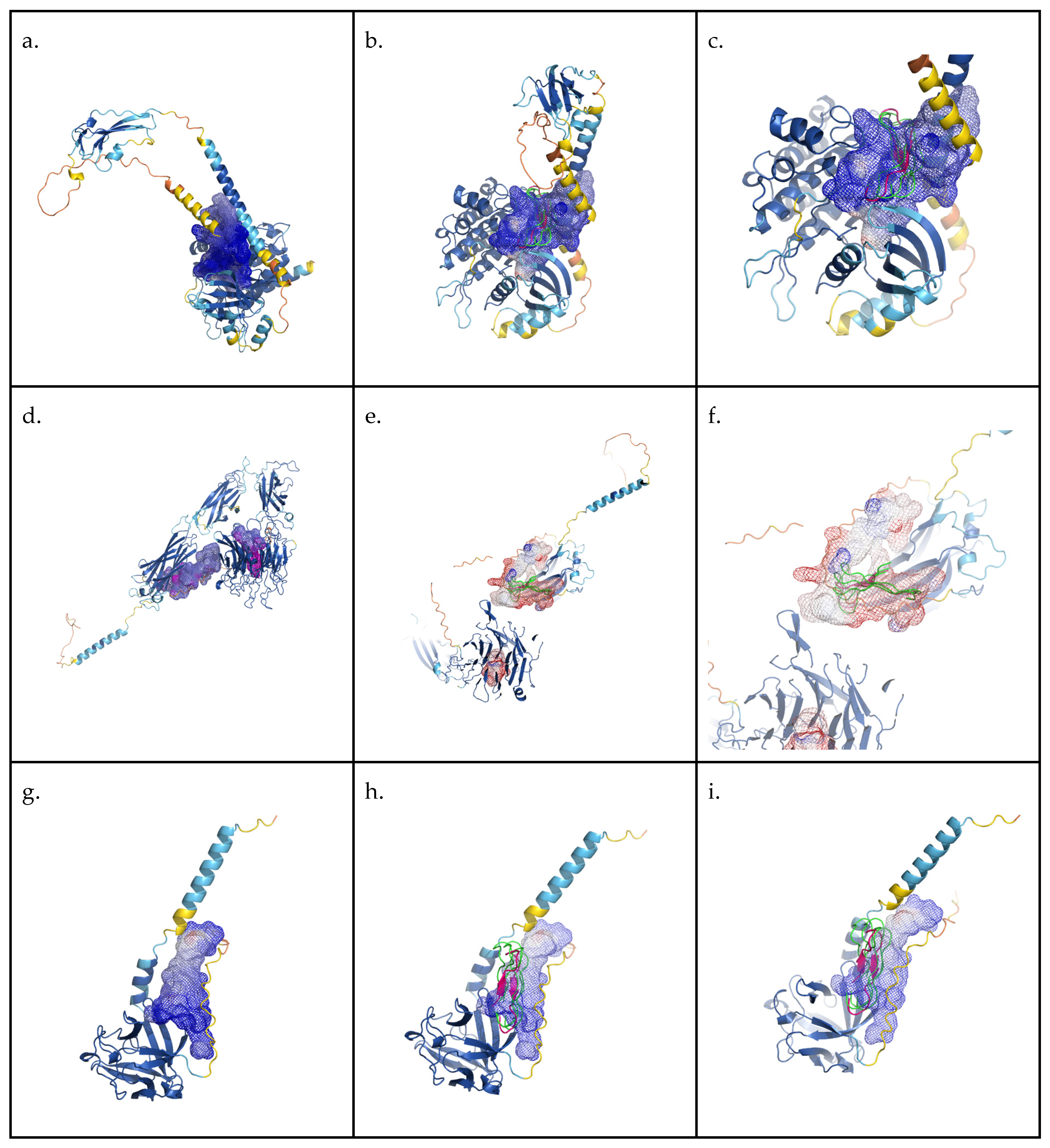 Molecules 30 02167 g008
