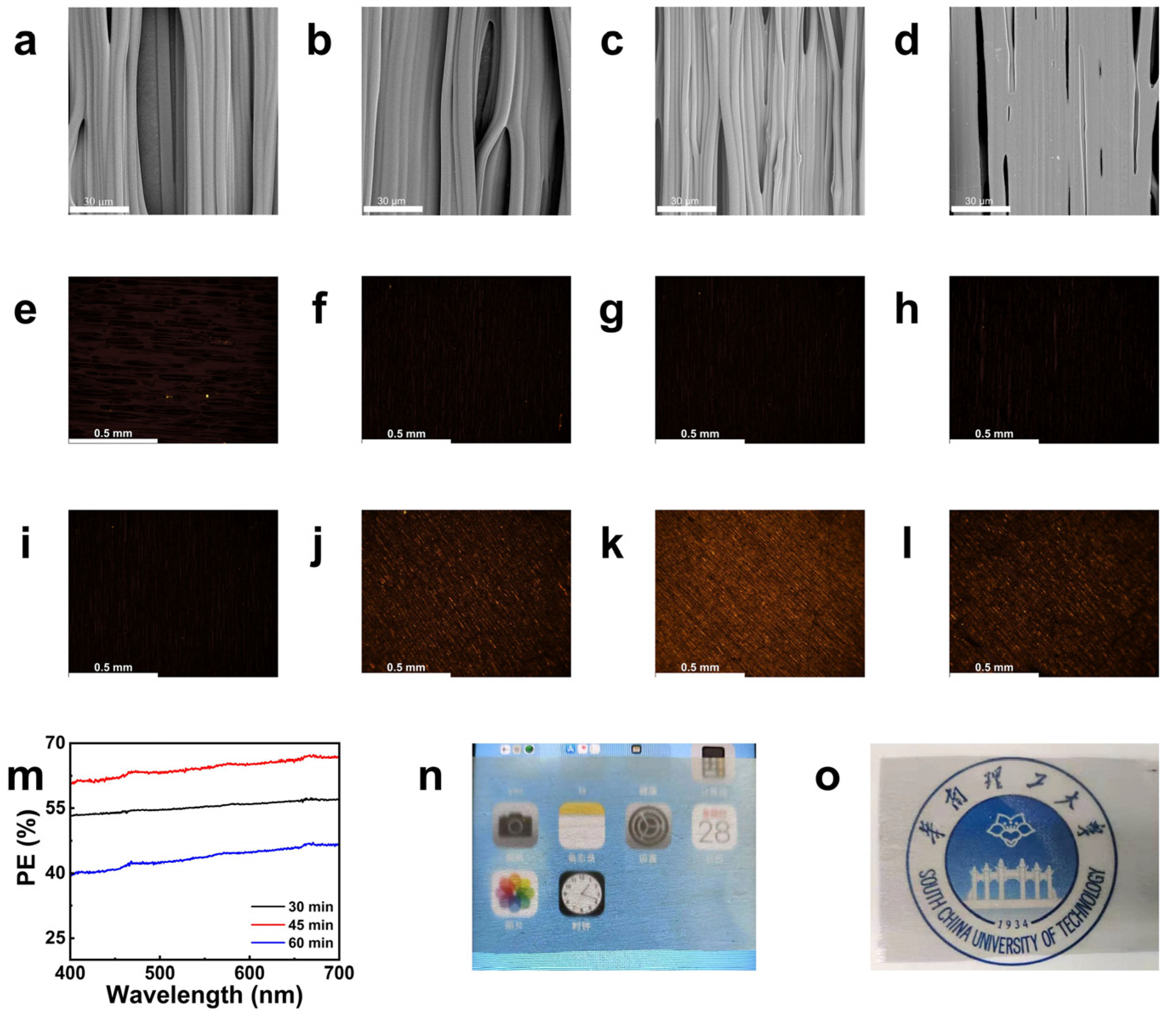 Molecules 30 02169 g004