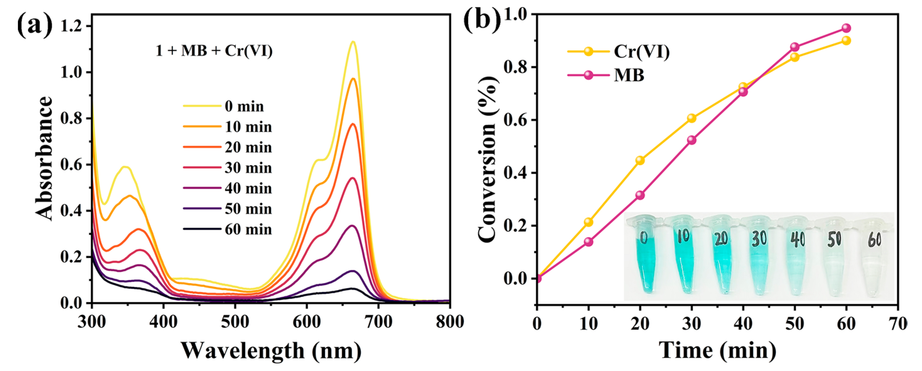 Molecules 30 02172 g011