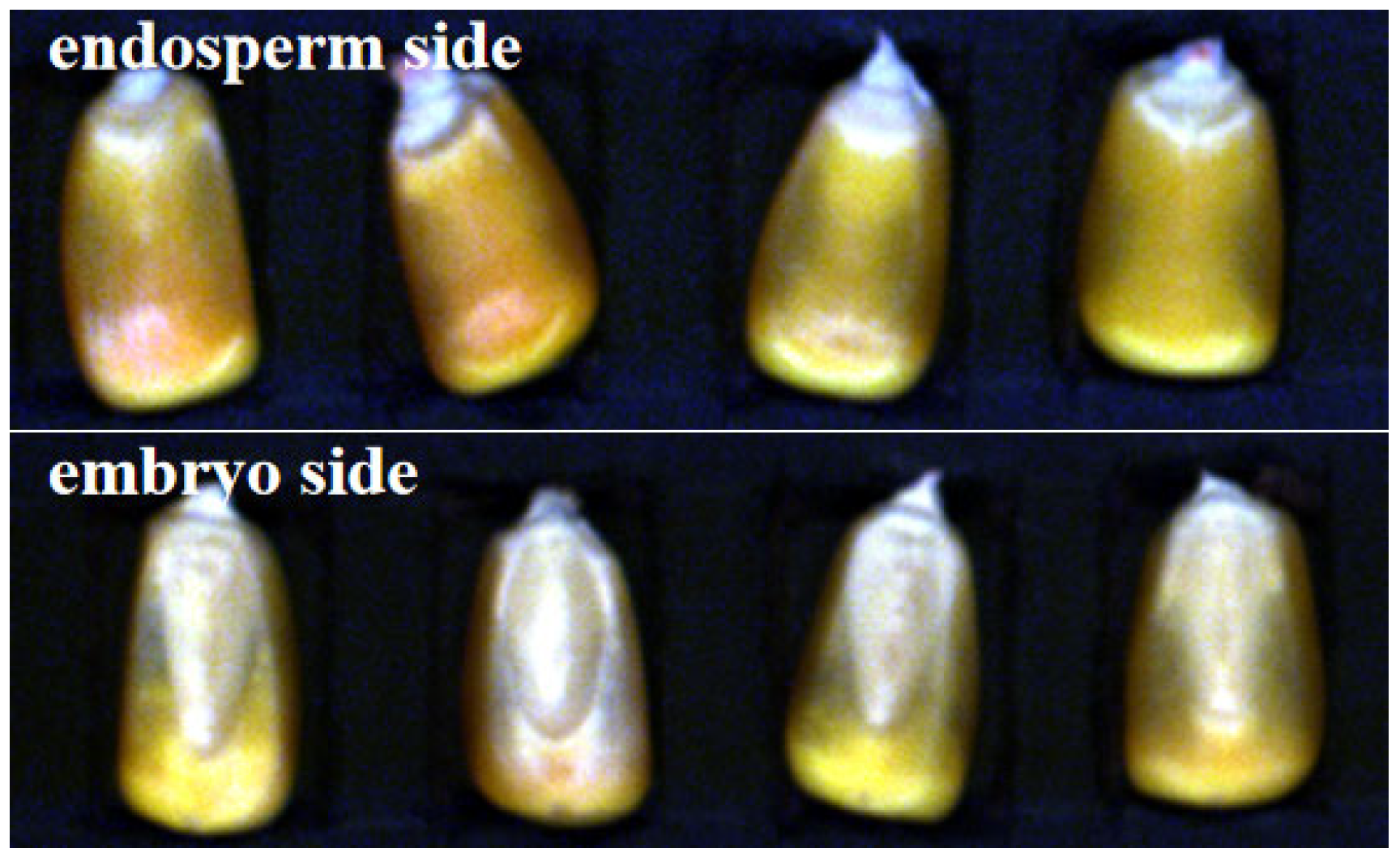 Molecules 30 02178 g005