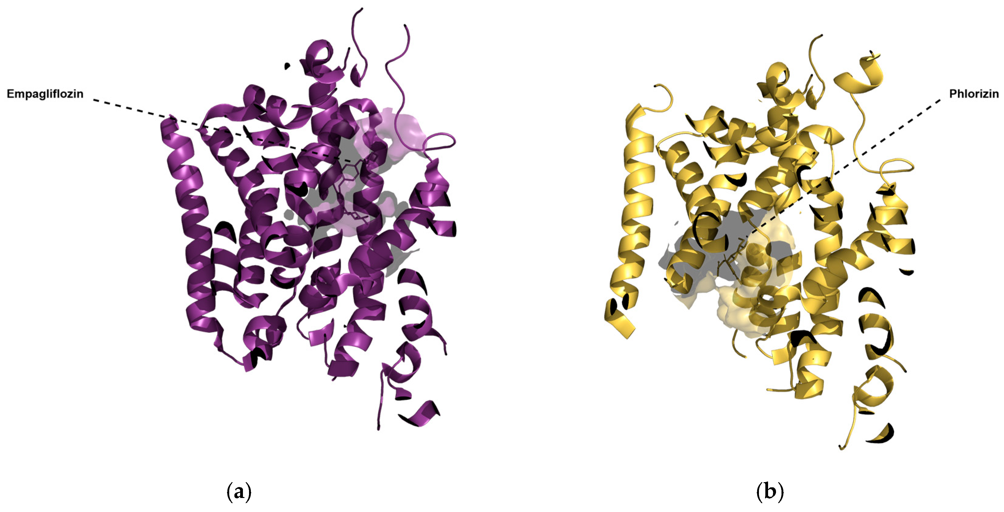 Molecules 30 02179 g002 Molecules 30 02179 g002