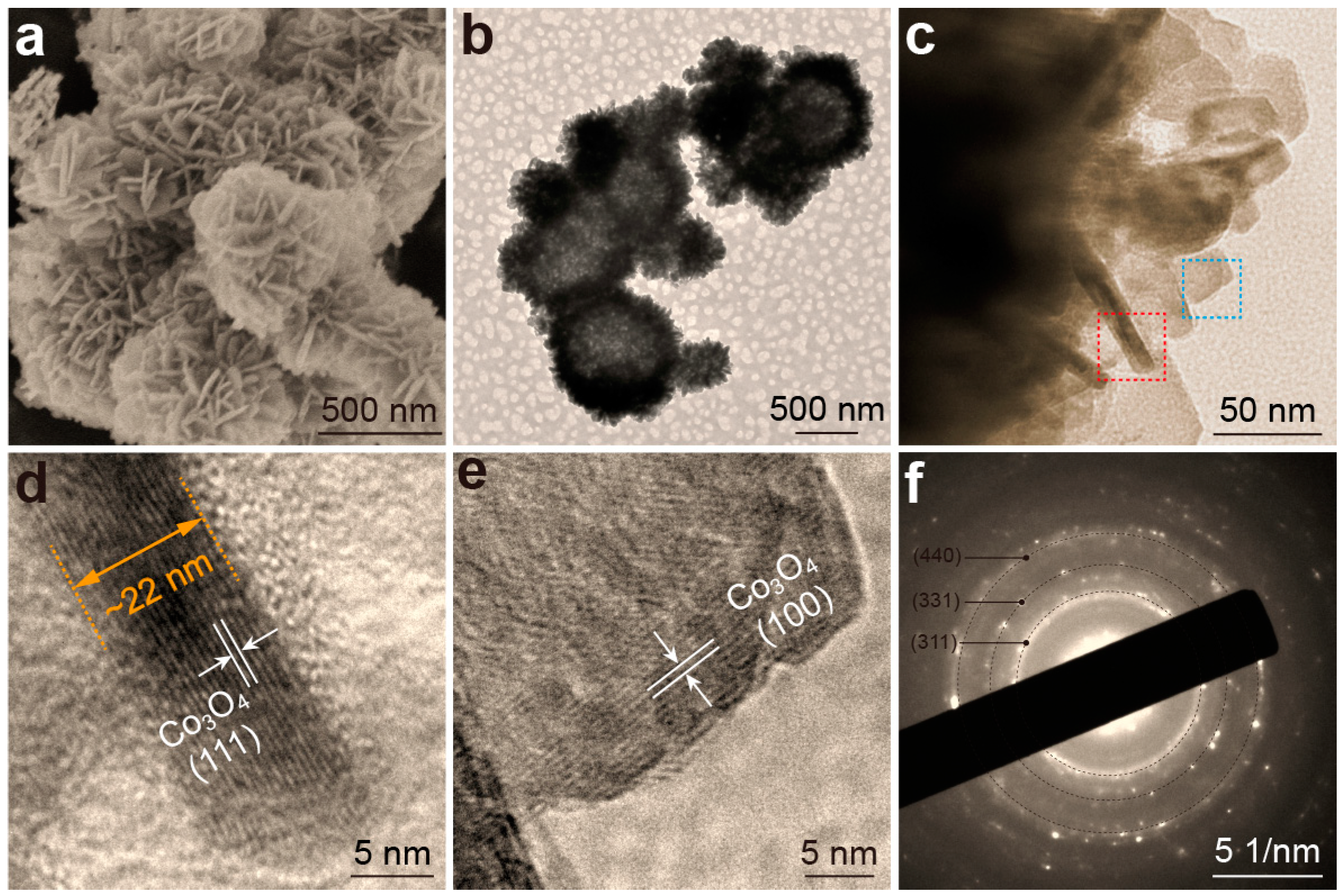 Molecules 30 02181 g001