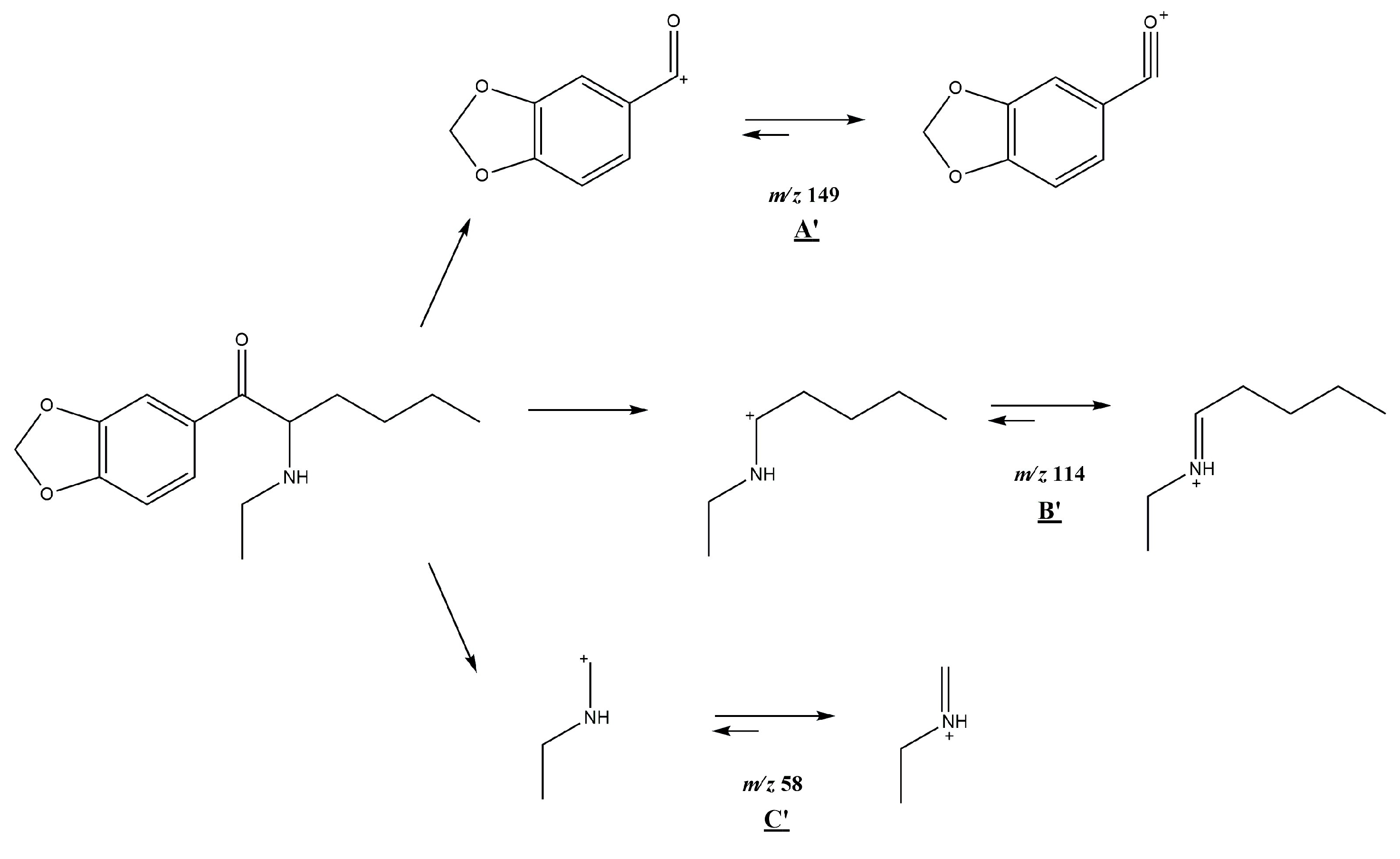 Molecules 30 02182 g007