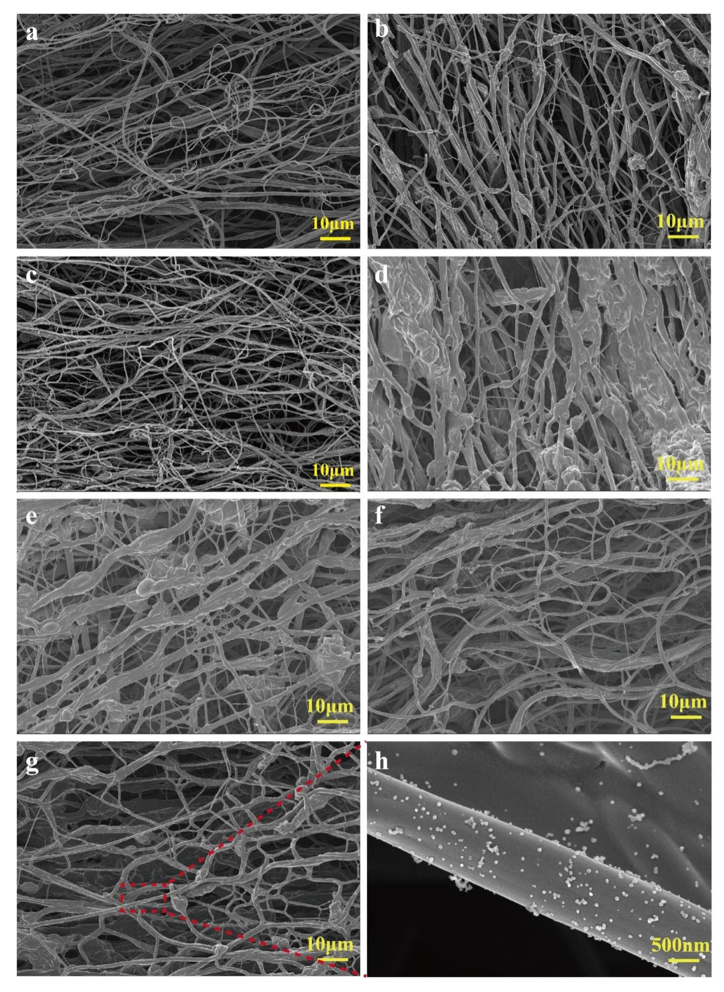 Molecules 30 02184 g001