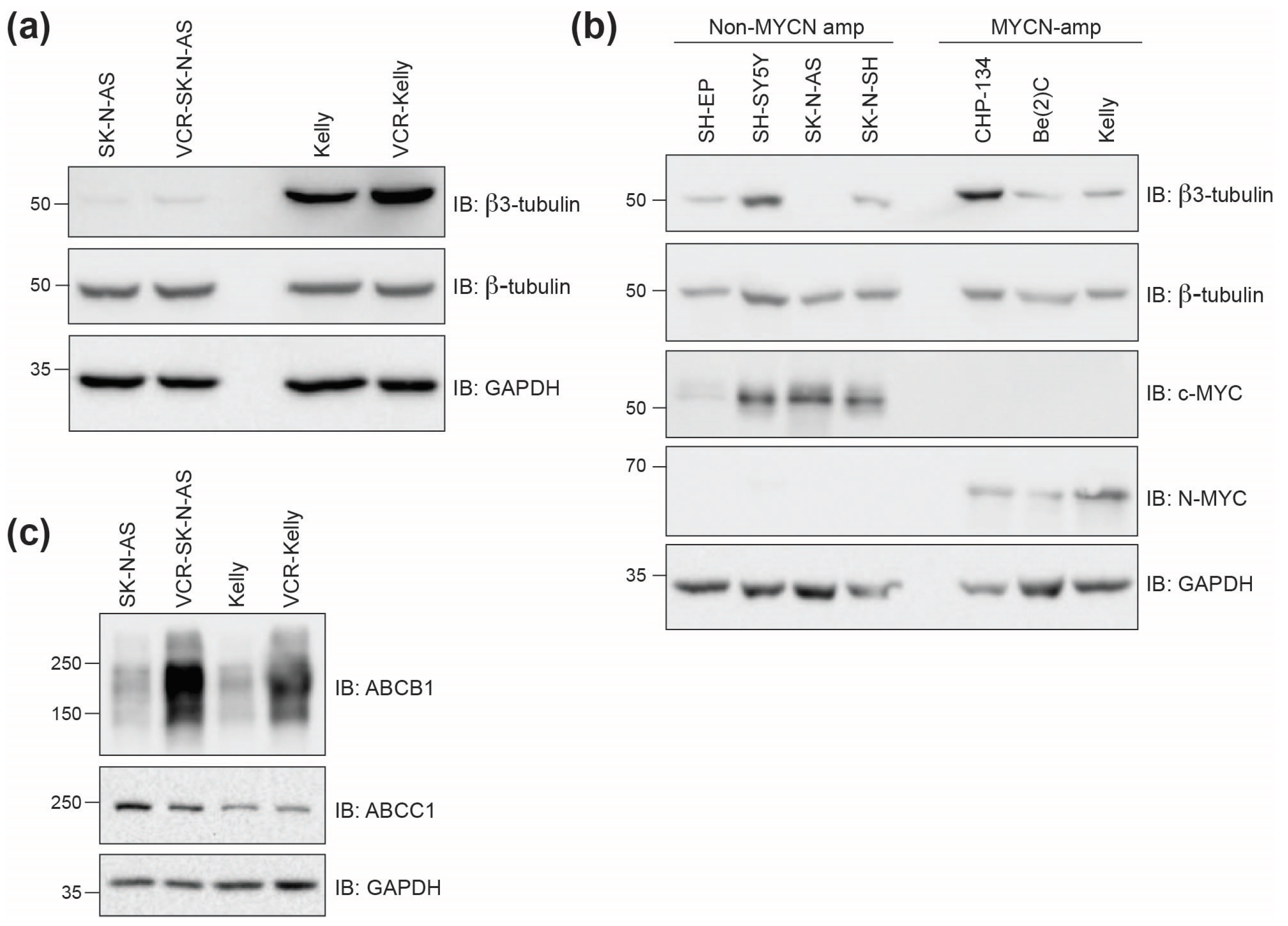 Molecules 30 02186 g005