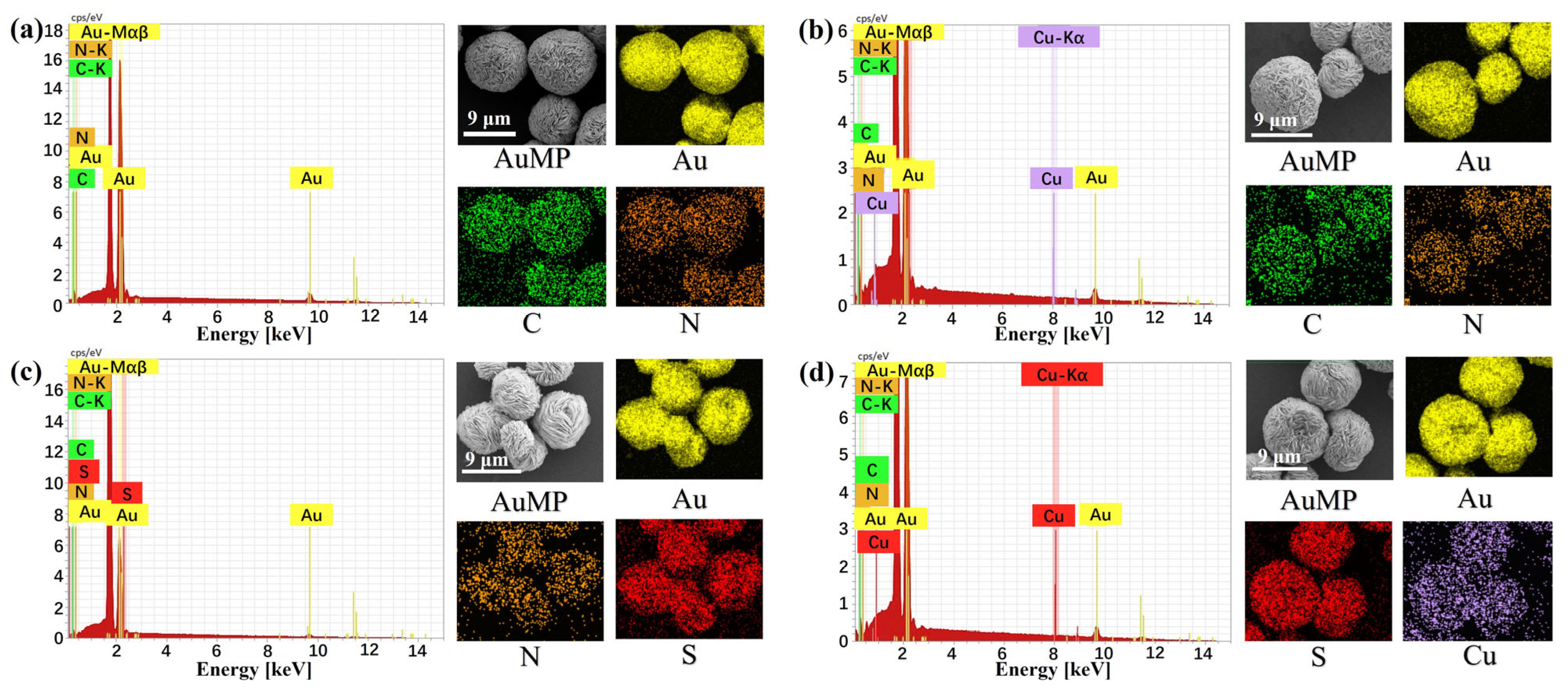 Molecules 30 02188 g003