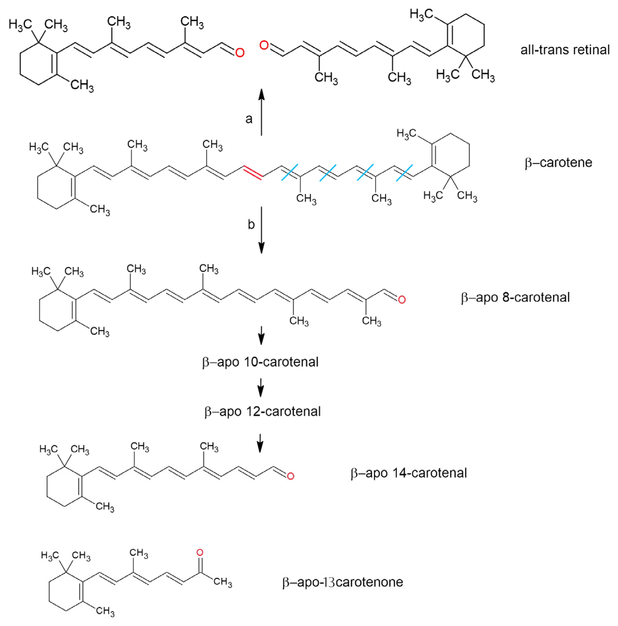 Molecules 30 02191 g004