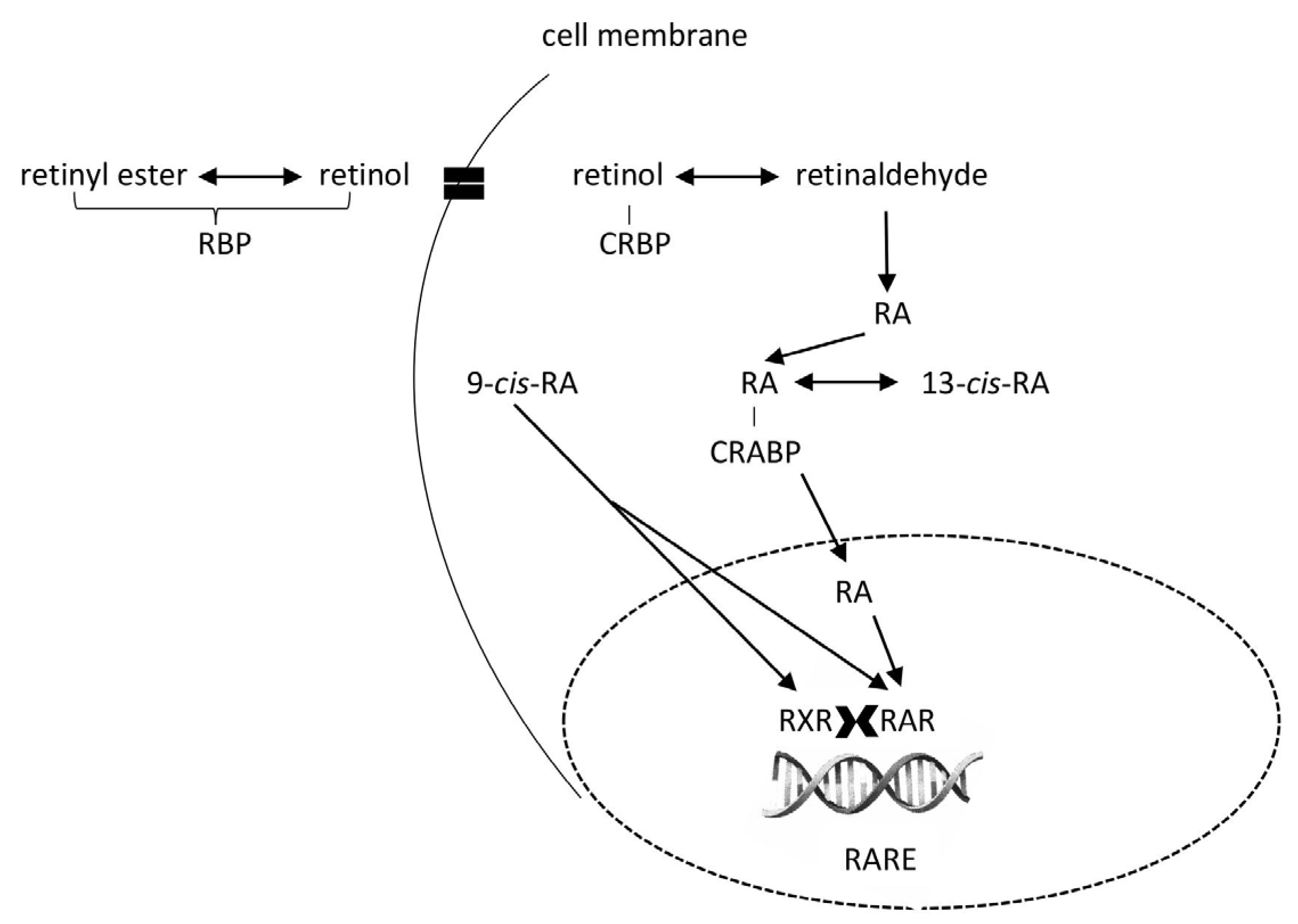 Molecules 30 02191 g005