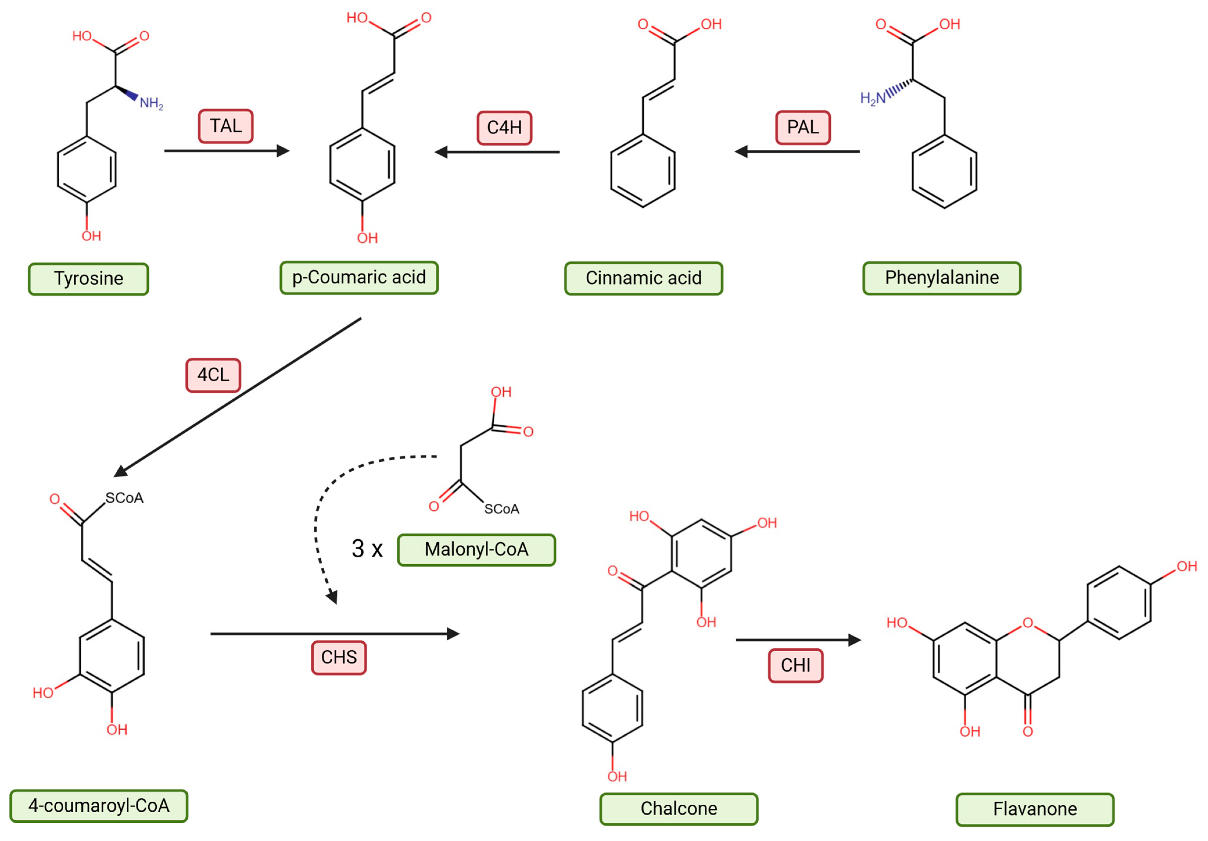Molecules 30 02203 g001