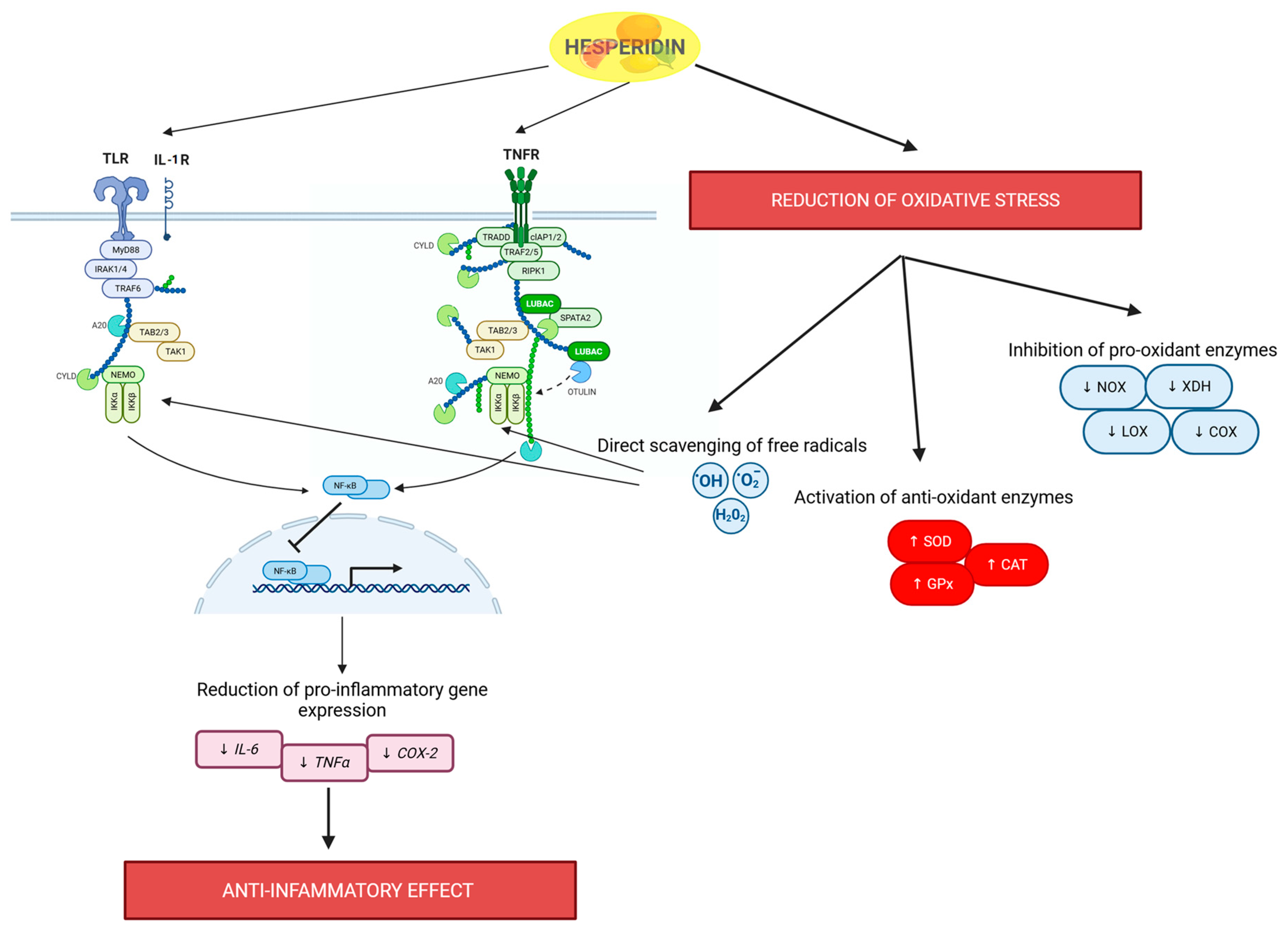 Molecules 30 02203 g002