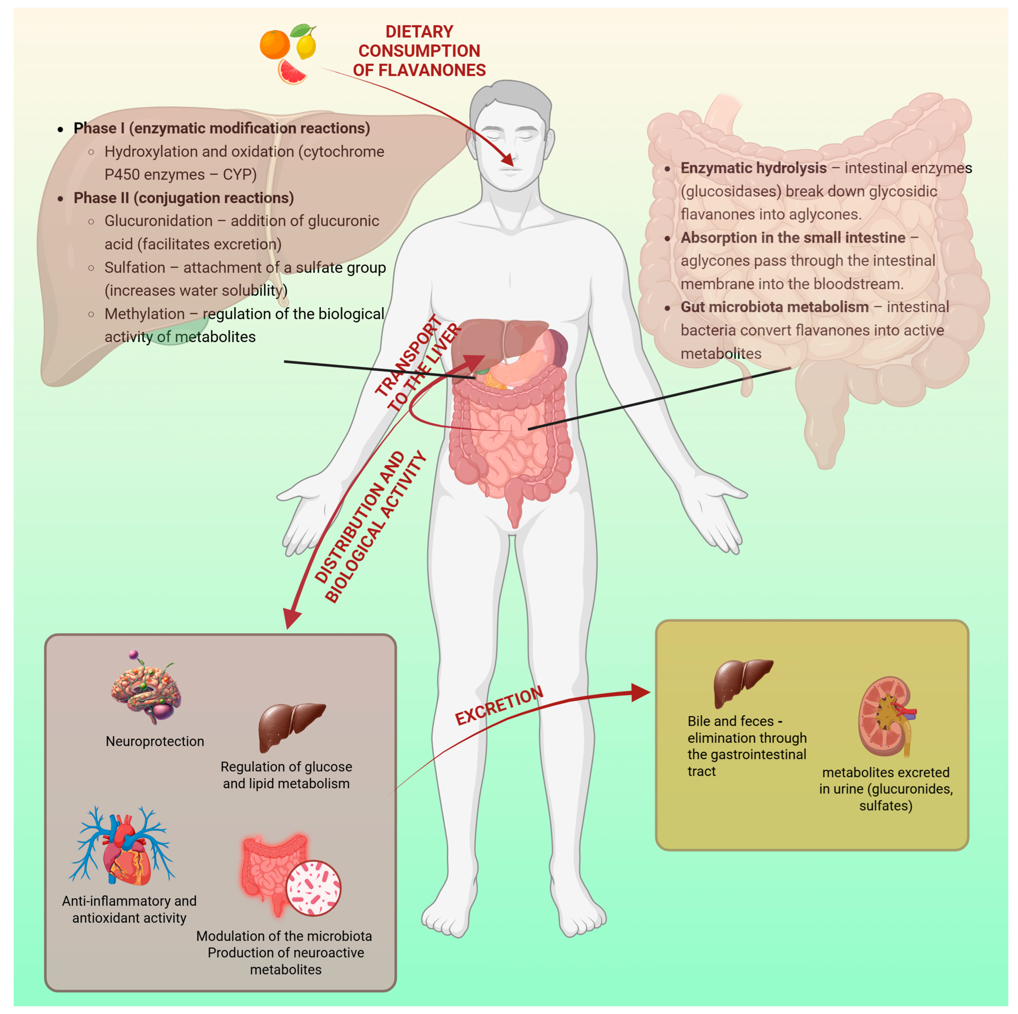 Molecules 30 02203 g003