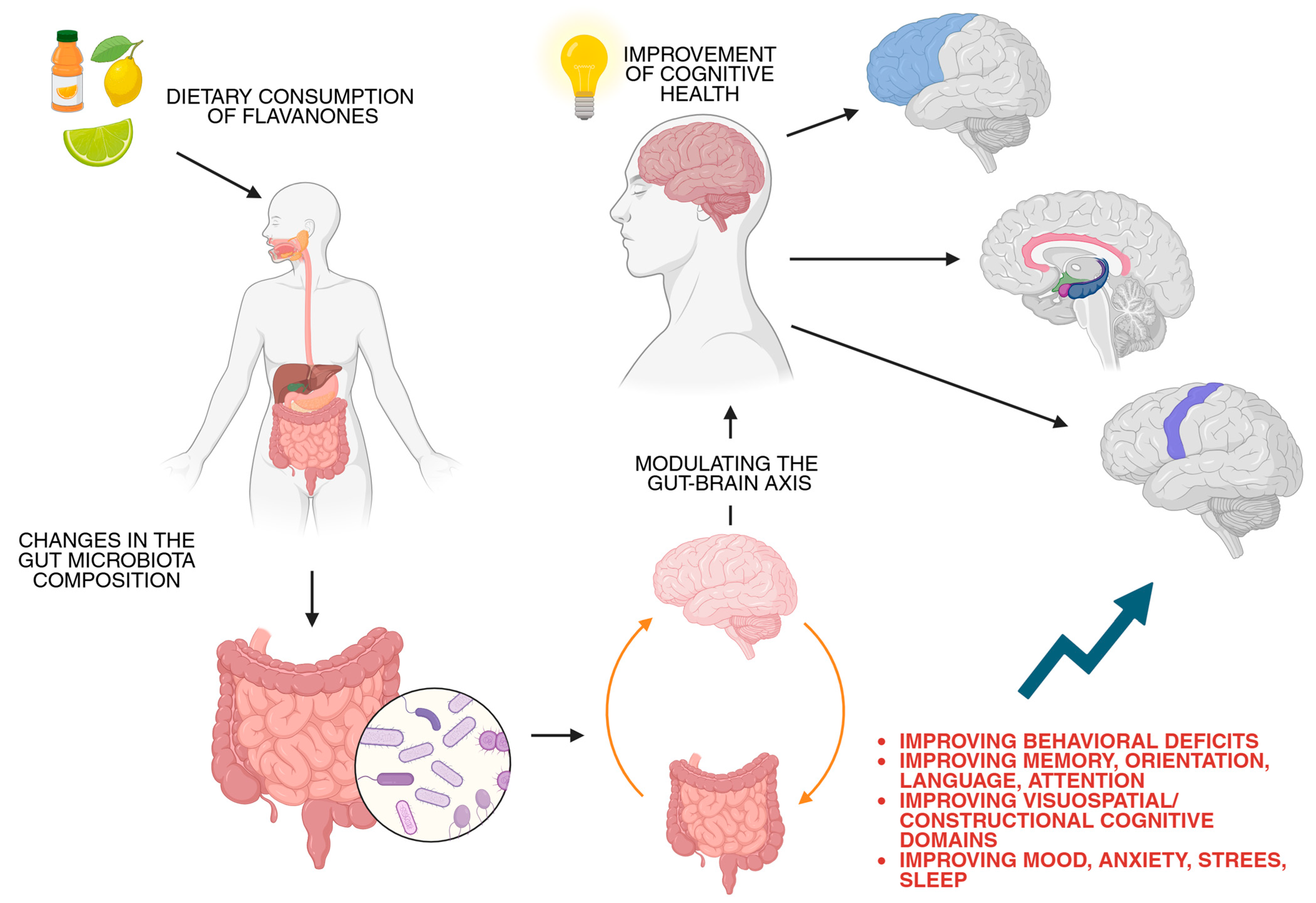 Molecules 30 02203 g004