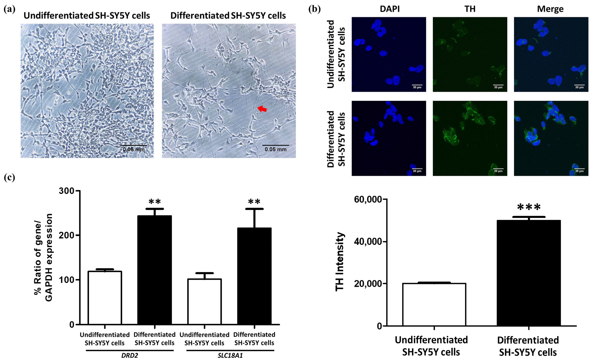 Molecules 30 02207 g001