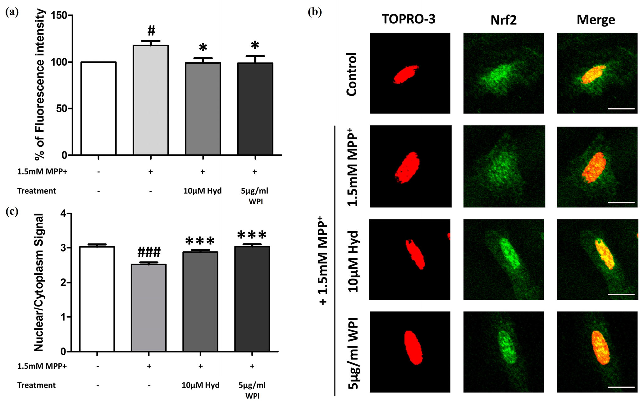 Molecules 30 02207 g003