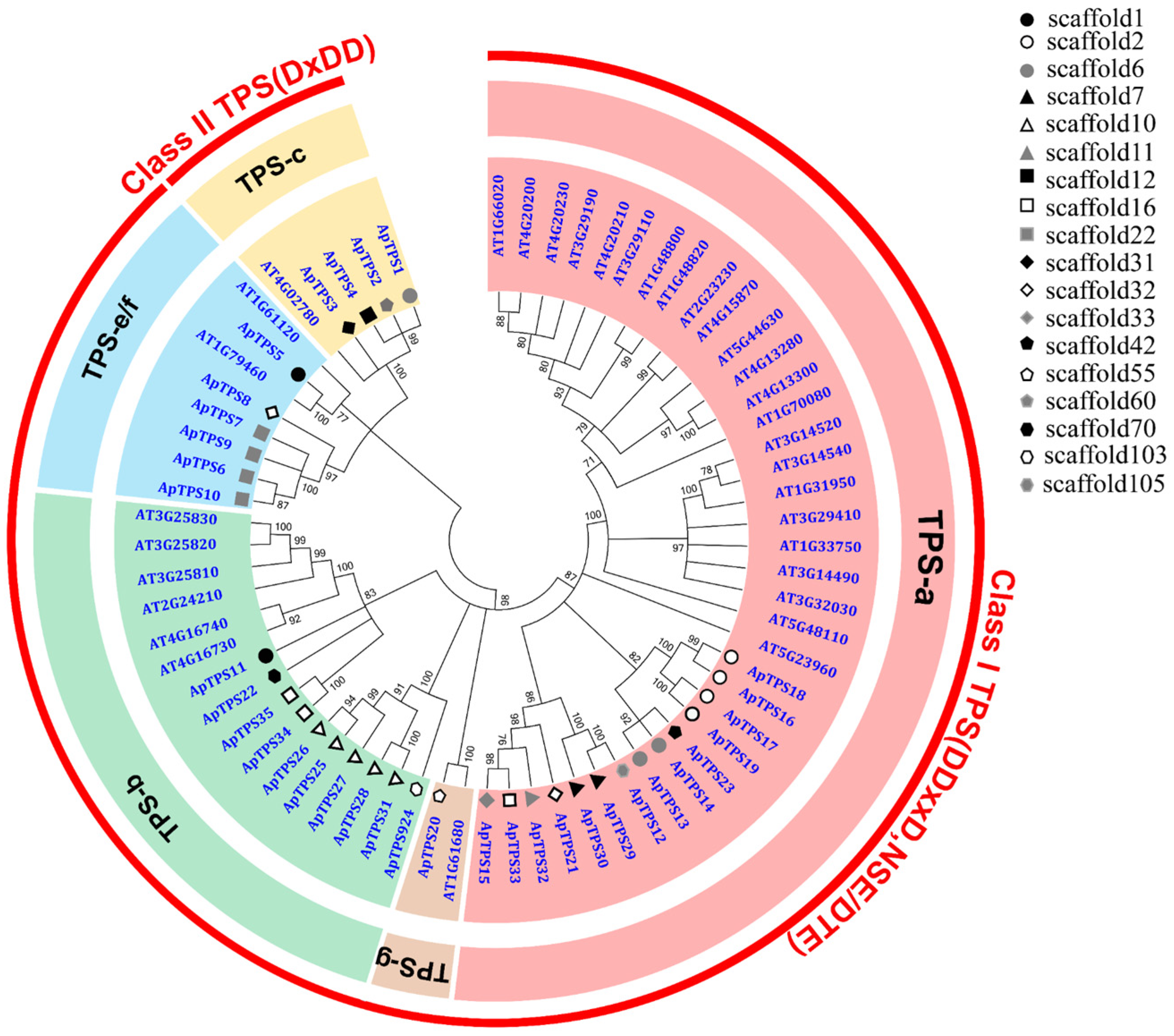Molecules 30 02208 g001