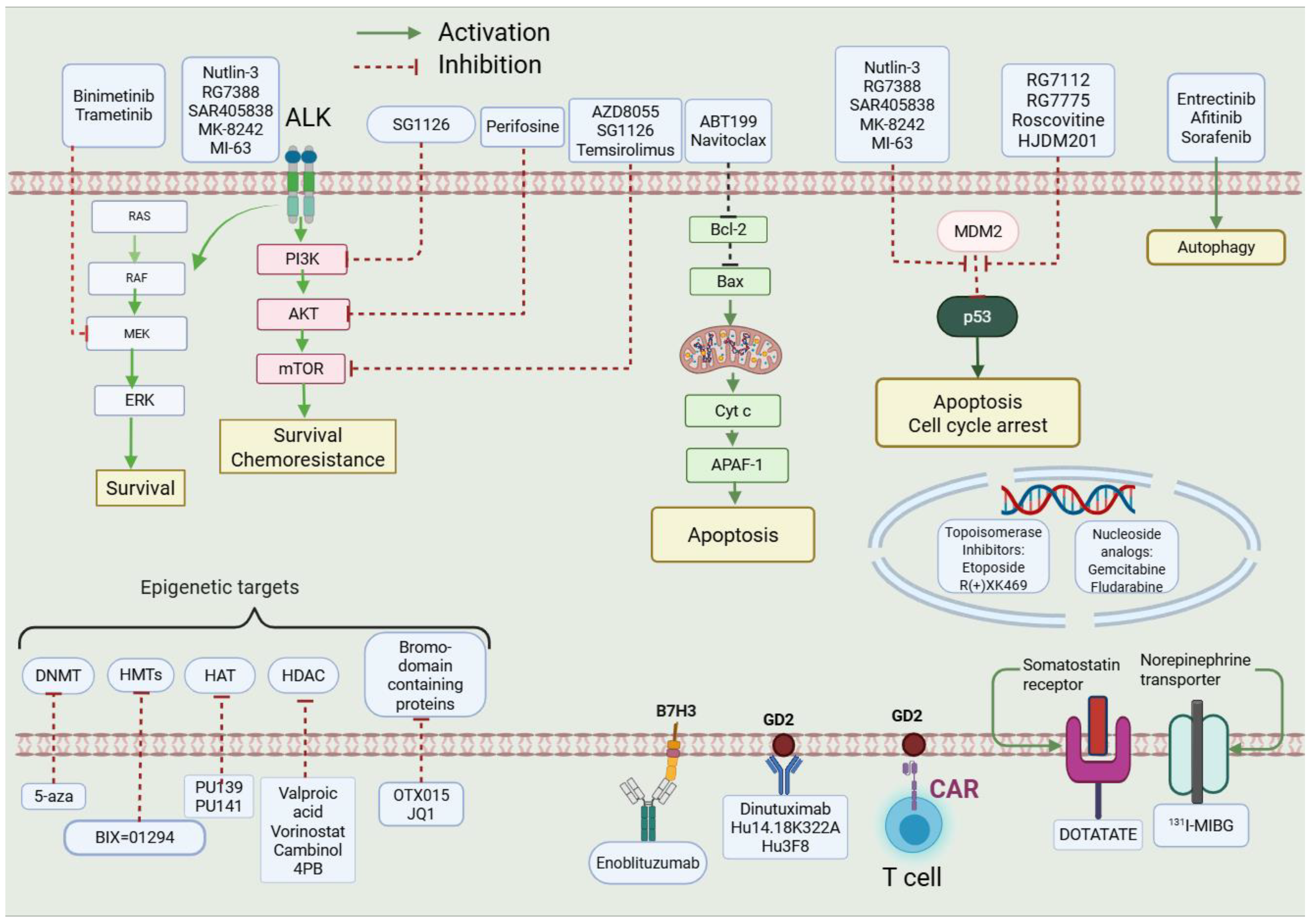 Molecules 30 02211 g001
