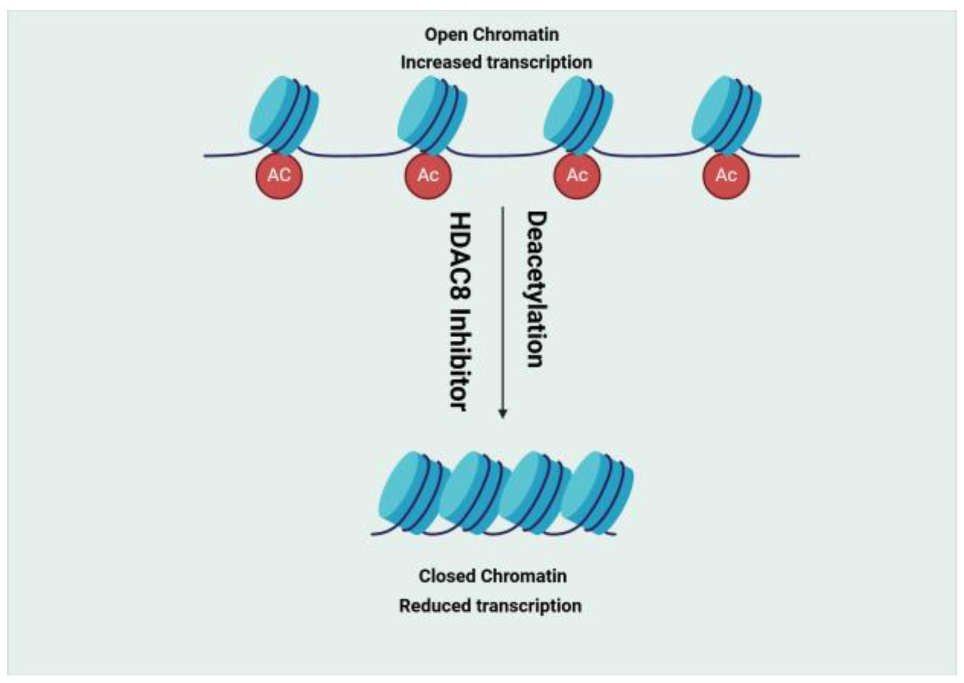 Molecules 30 02211 g002