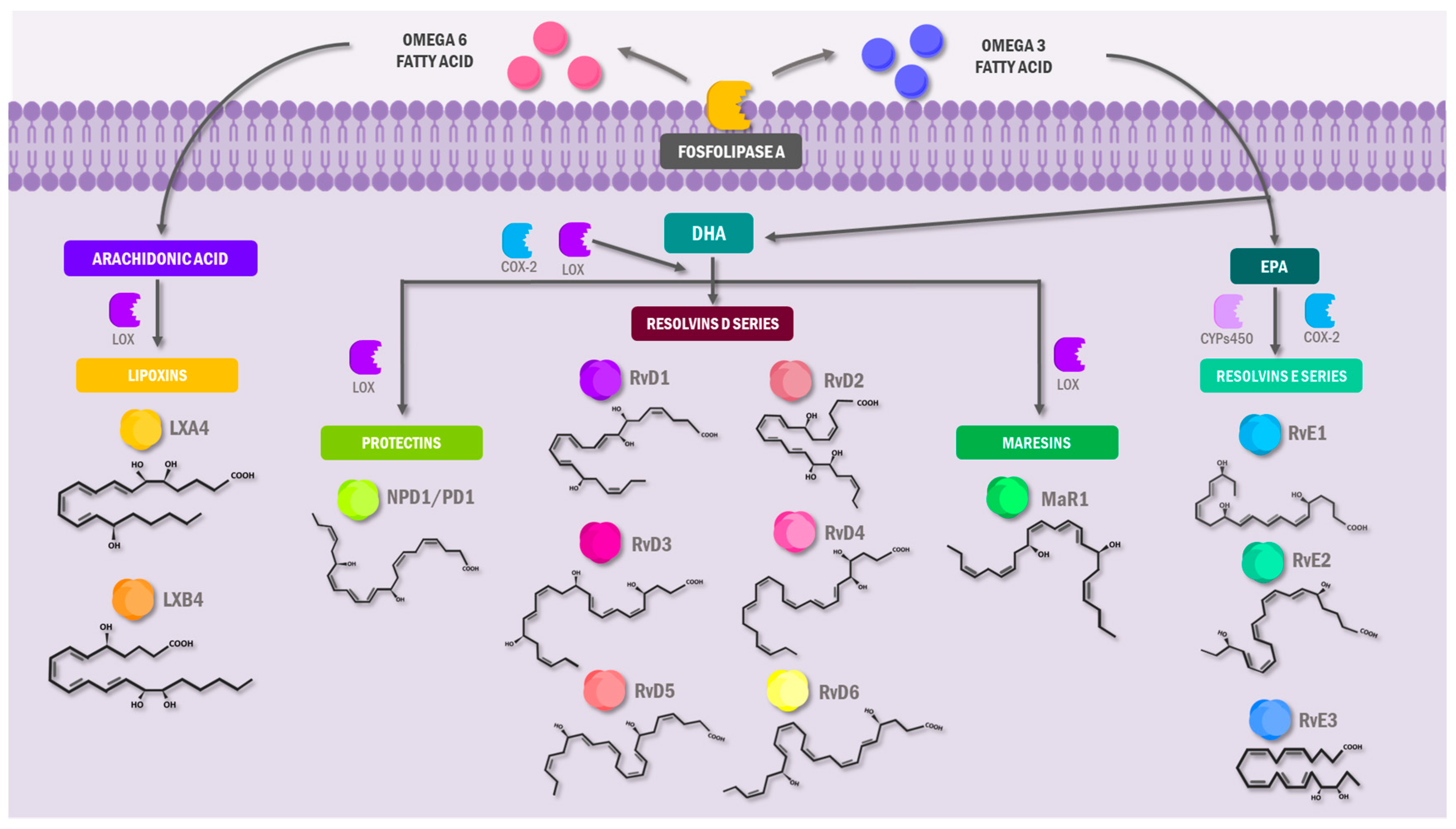 Molecules 30 02212 g001