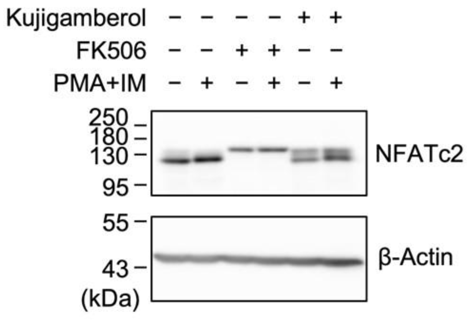 Molecules 30 02214 g006