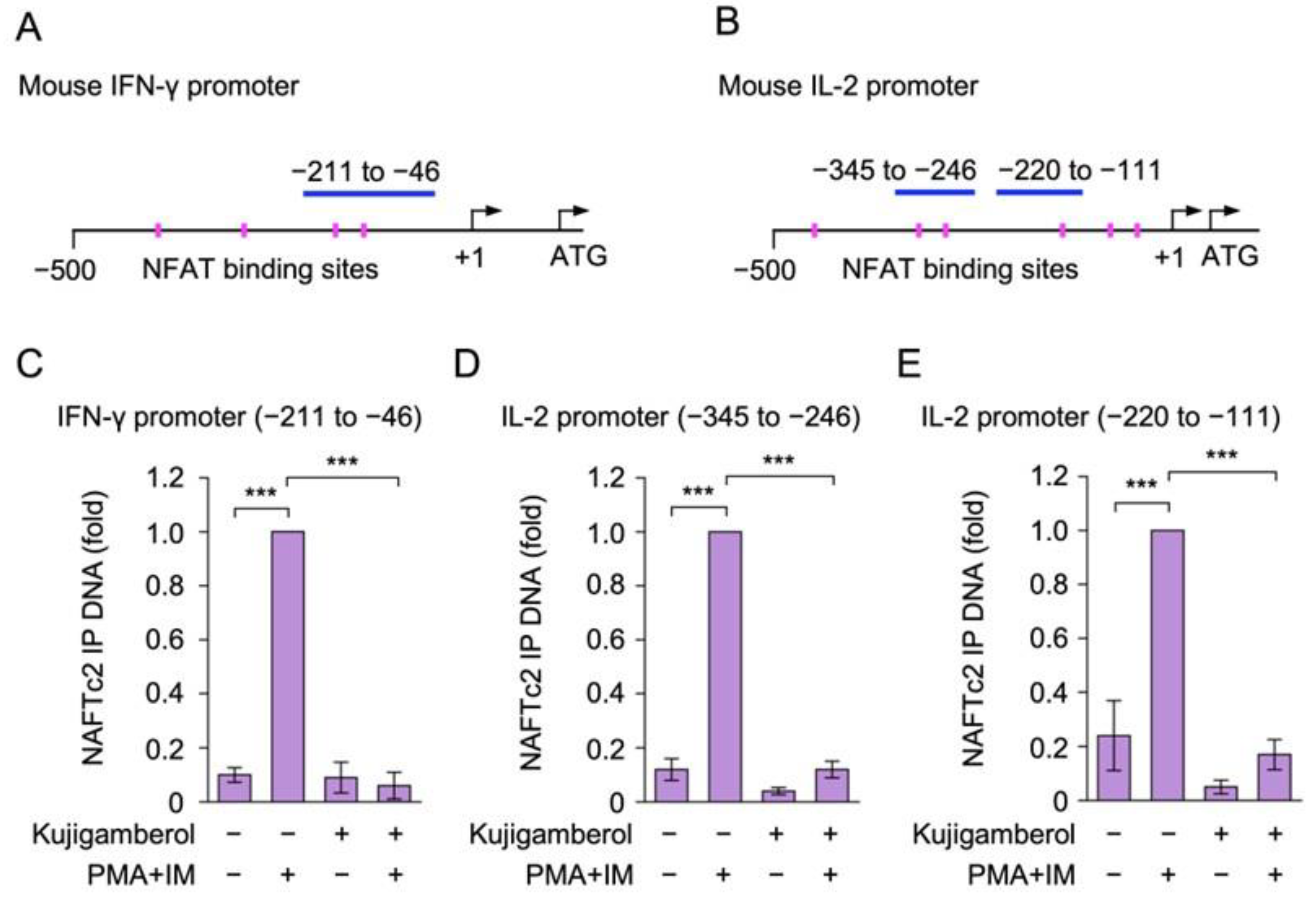 Molecules 30 02214 g007