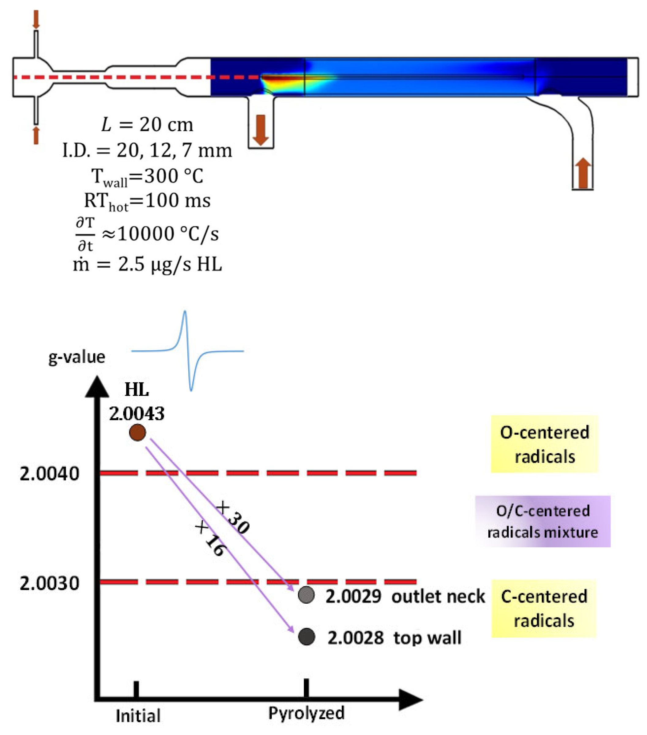 Molecules 30 02215 g006
