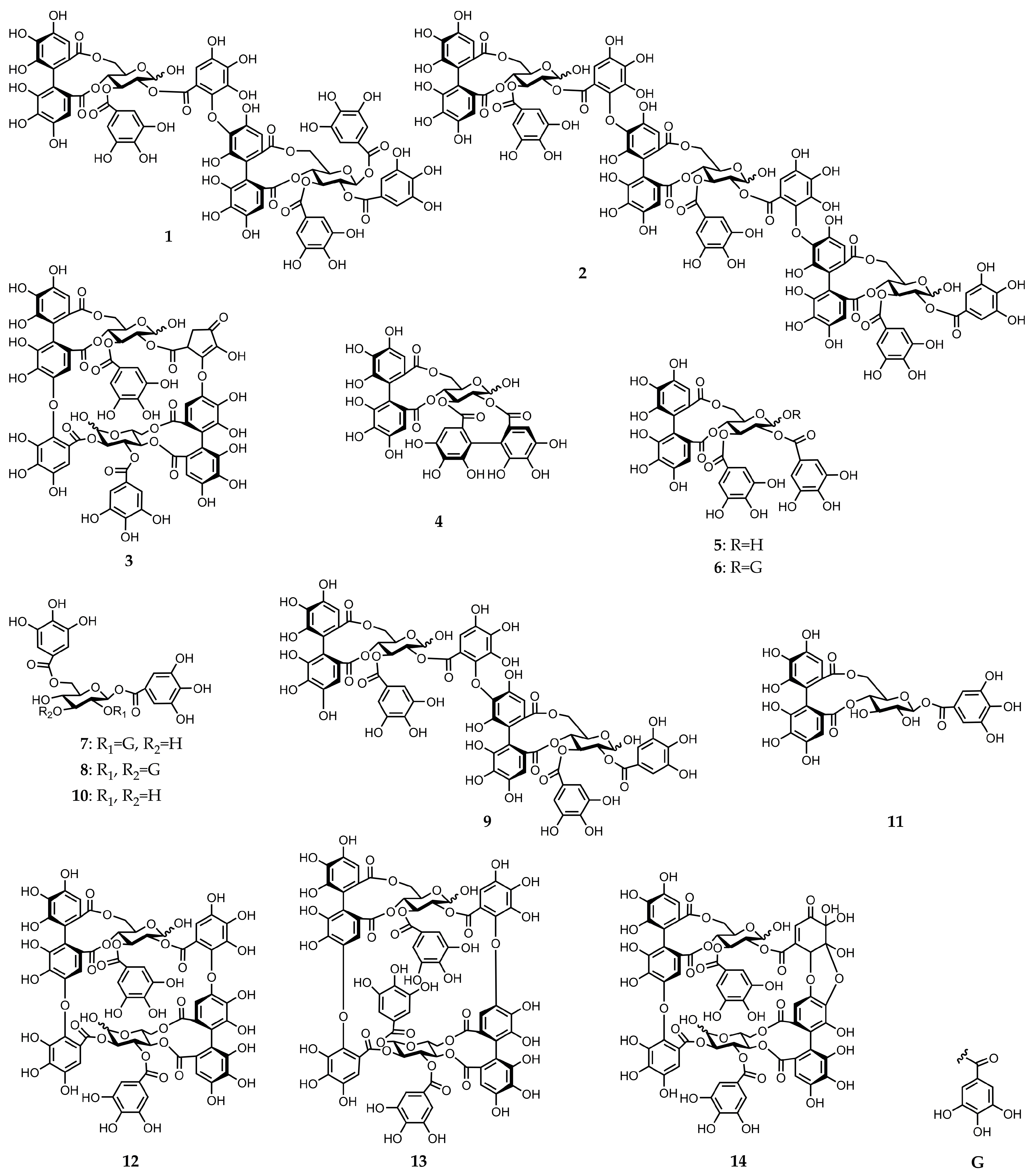 Molecules 30 02216 g001