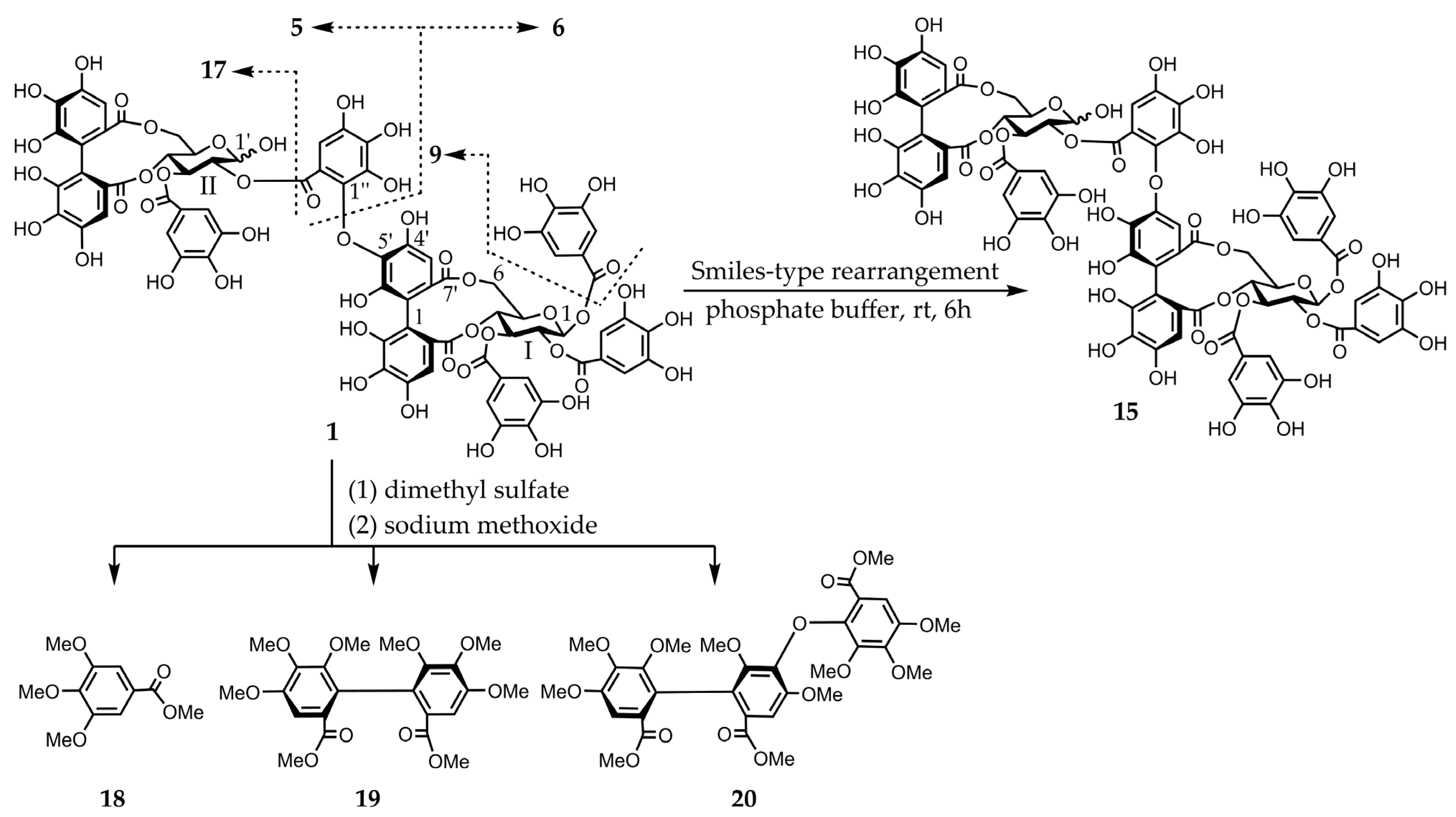 Molecules 30 02216 g002