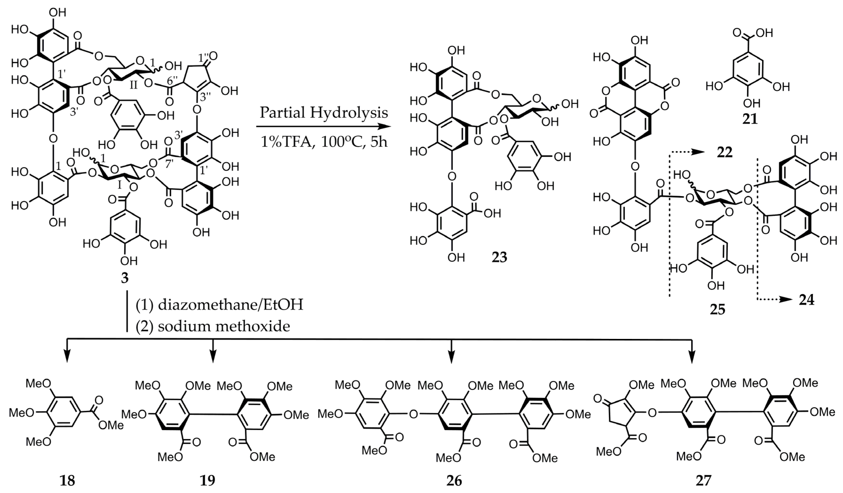 Molecules 30 02216 g004