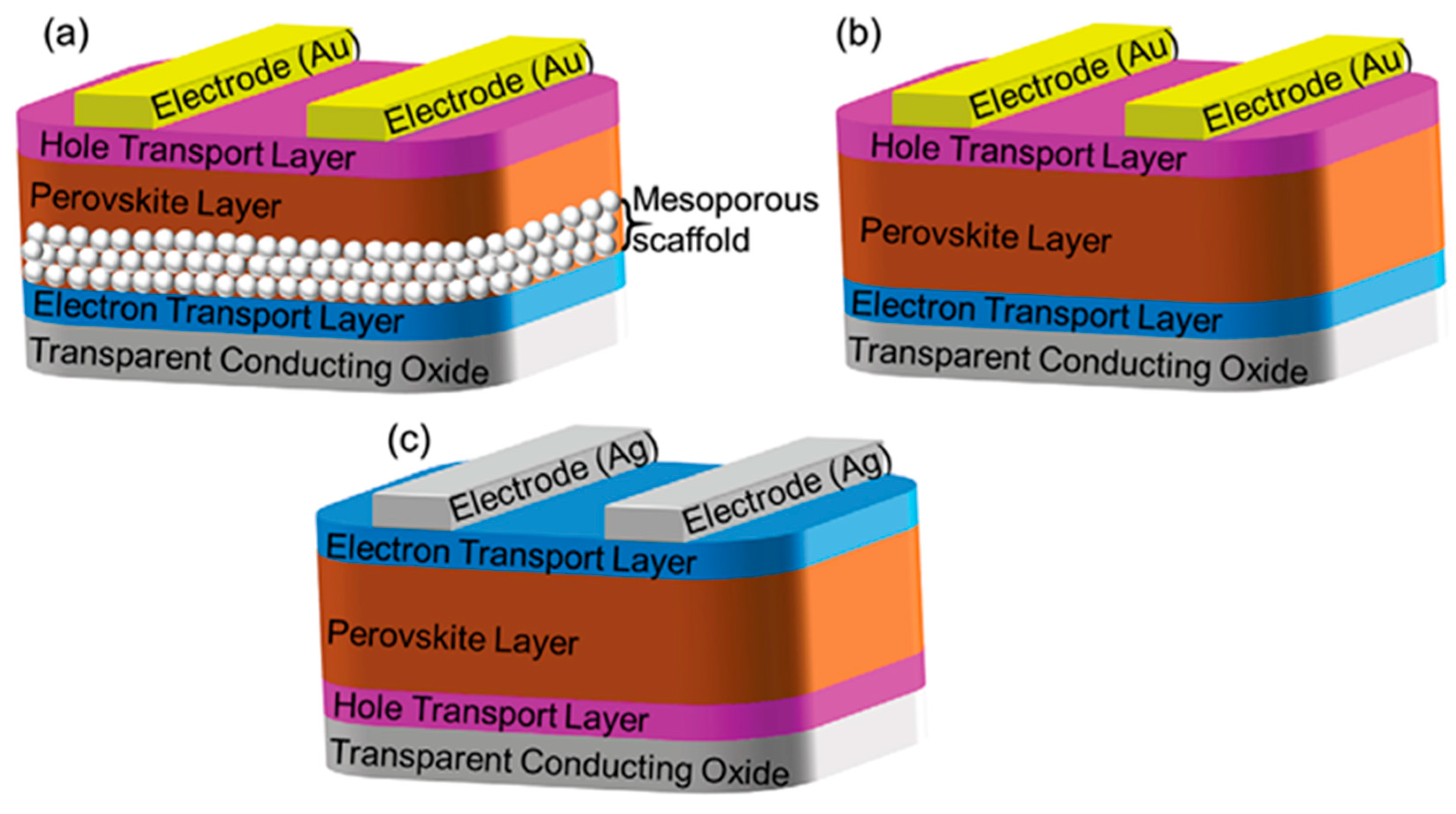 Molecules 30 02221 g002