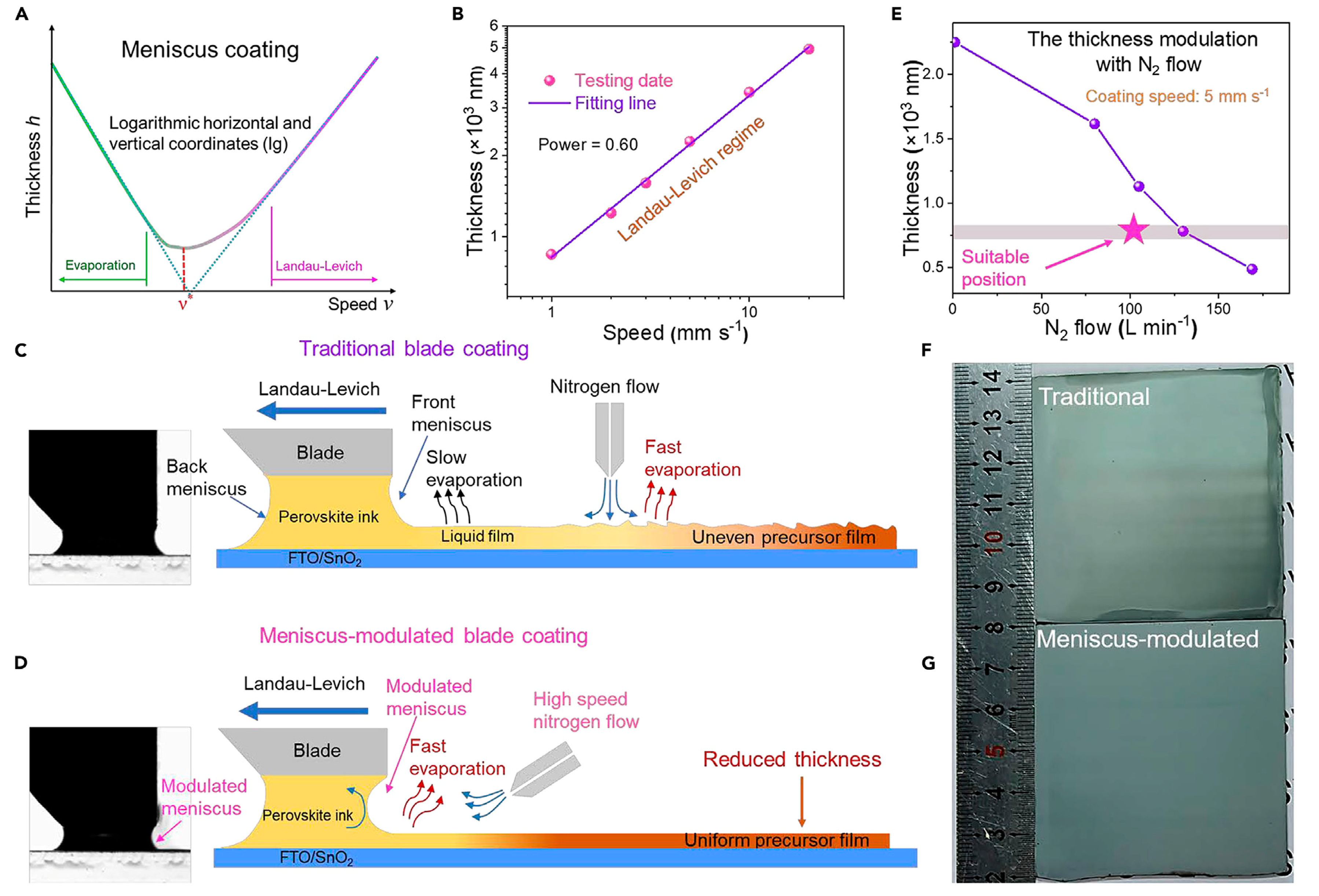 Molecules 30 02221 g008