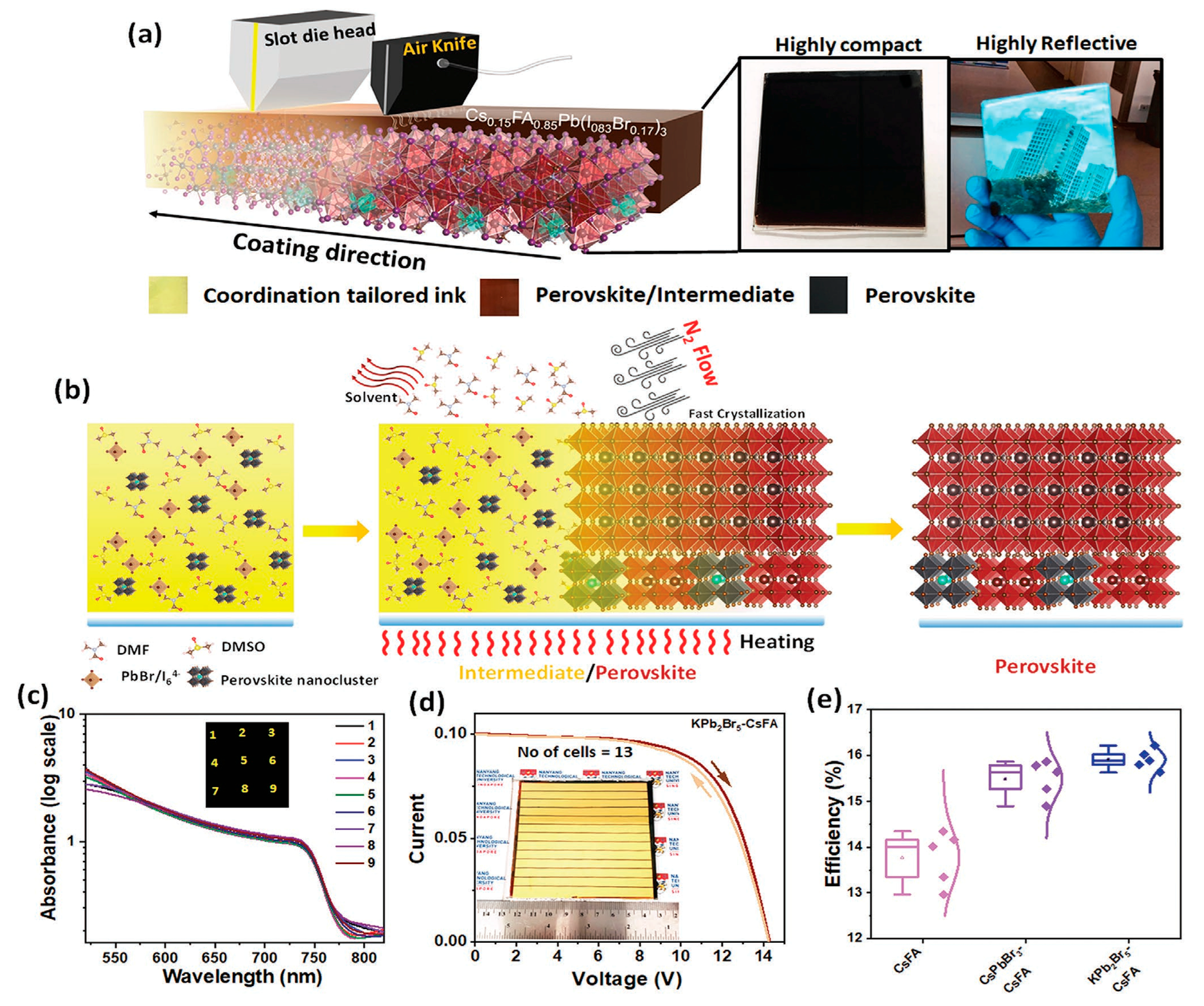 Molecules 30 02221 g009