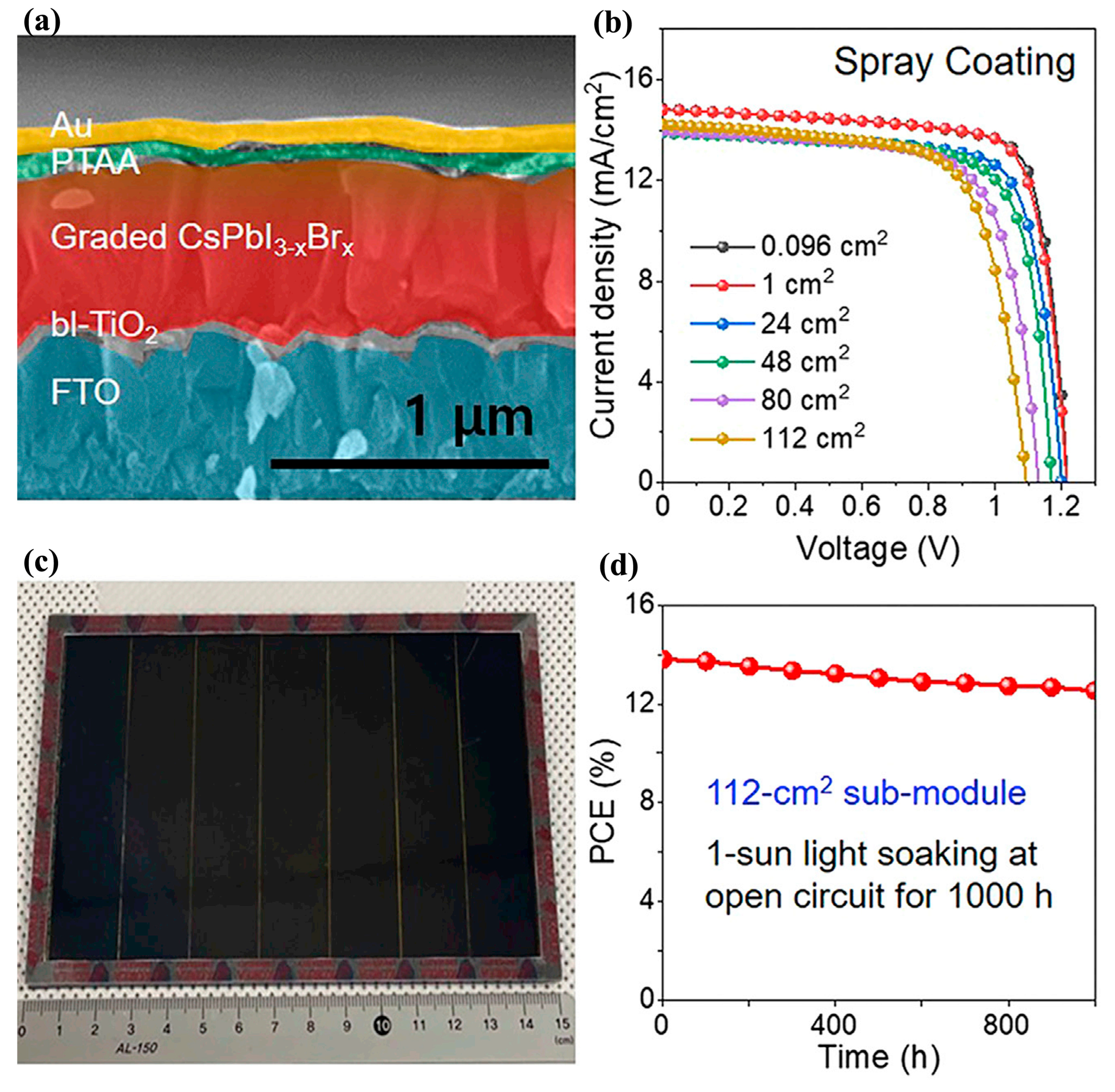 Molecules 30 02221 g010